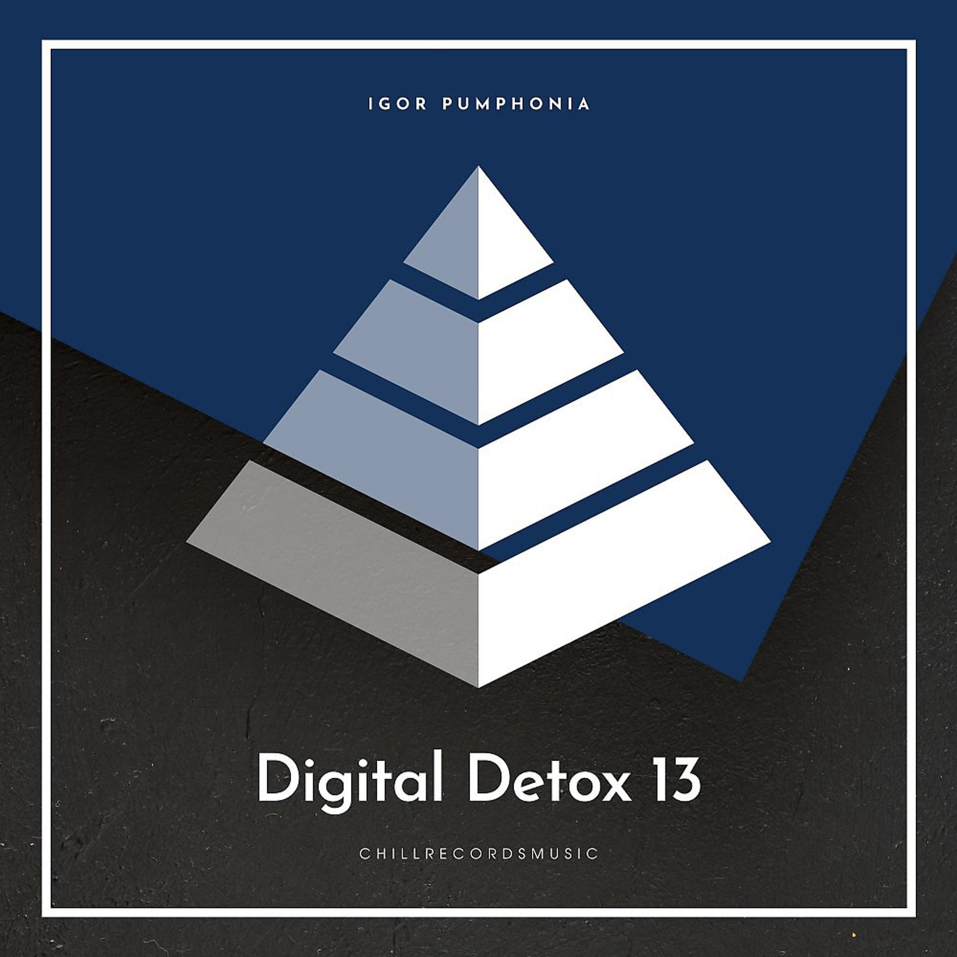 Постер альбома Digital Detox 13