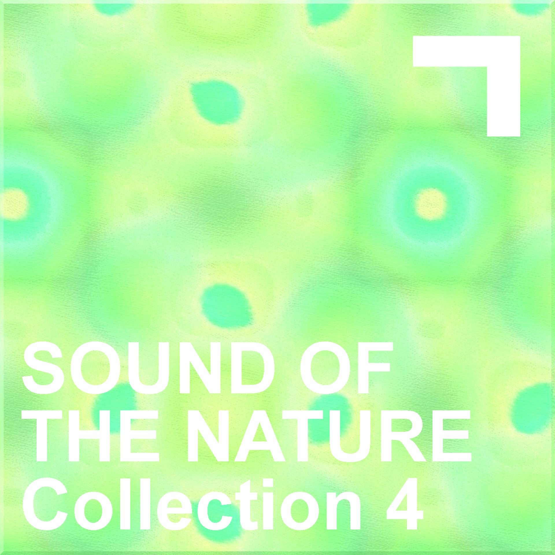 Постер альбома Sound Of The Nature – Collection 4
