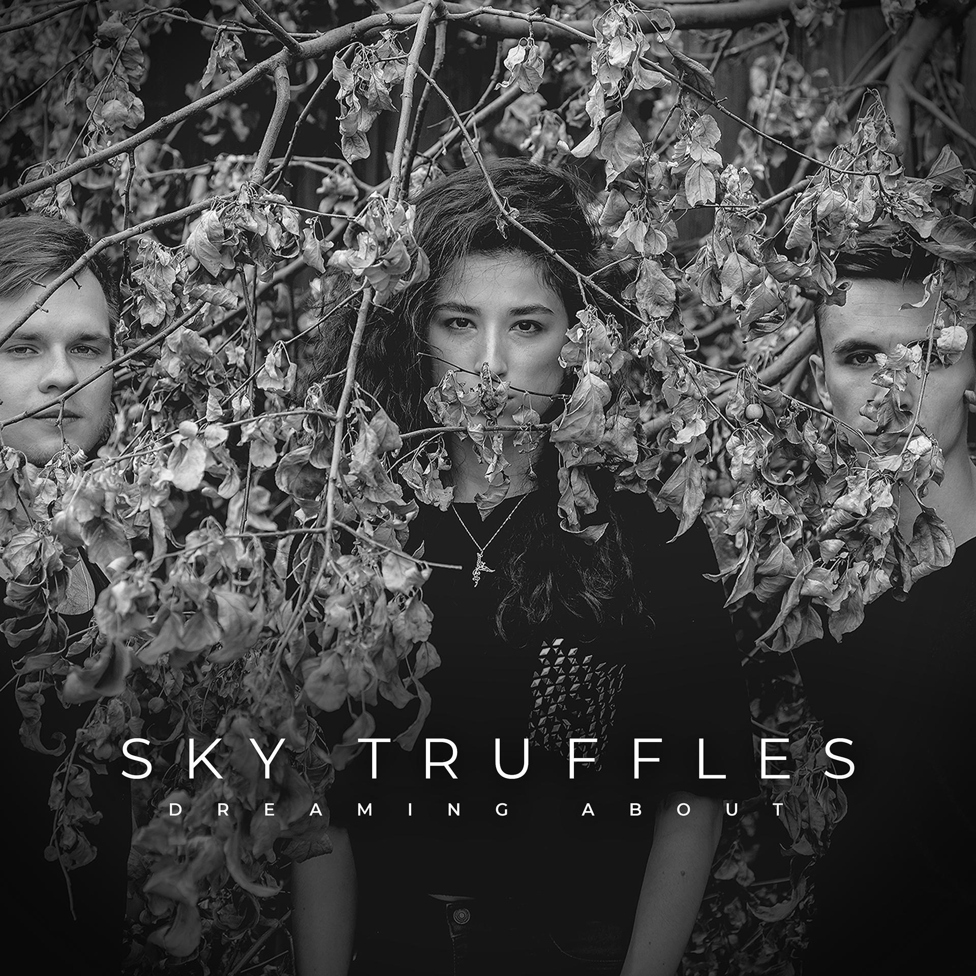 Постер к треку Sky Truffles - Dreaming About