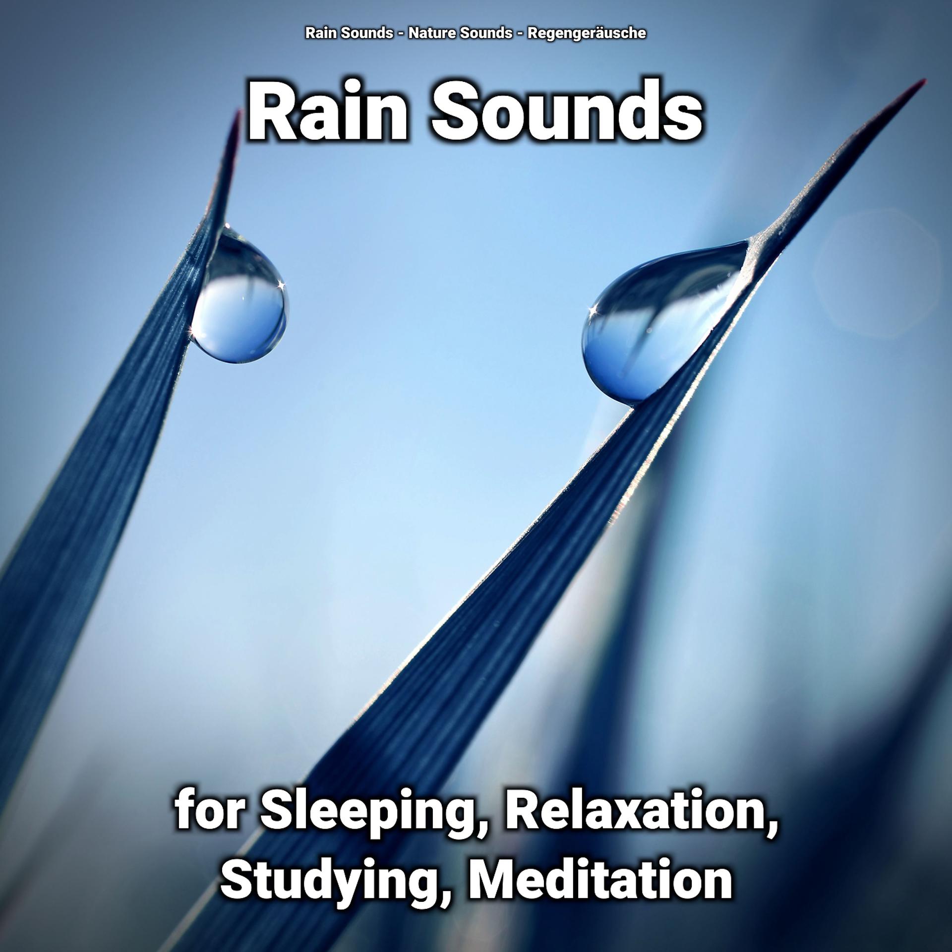 Постер альбома Rain Sounds for Sleeping, Relaxation, Studying, Meditation
