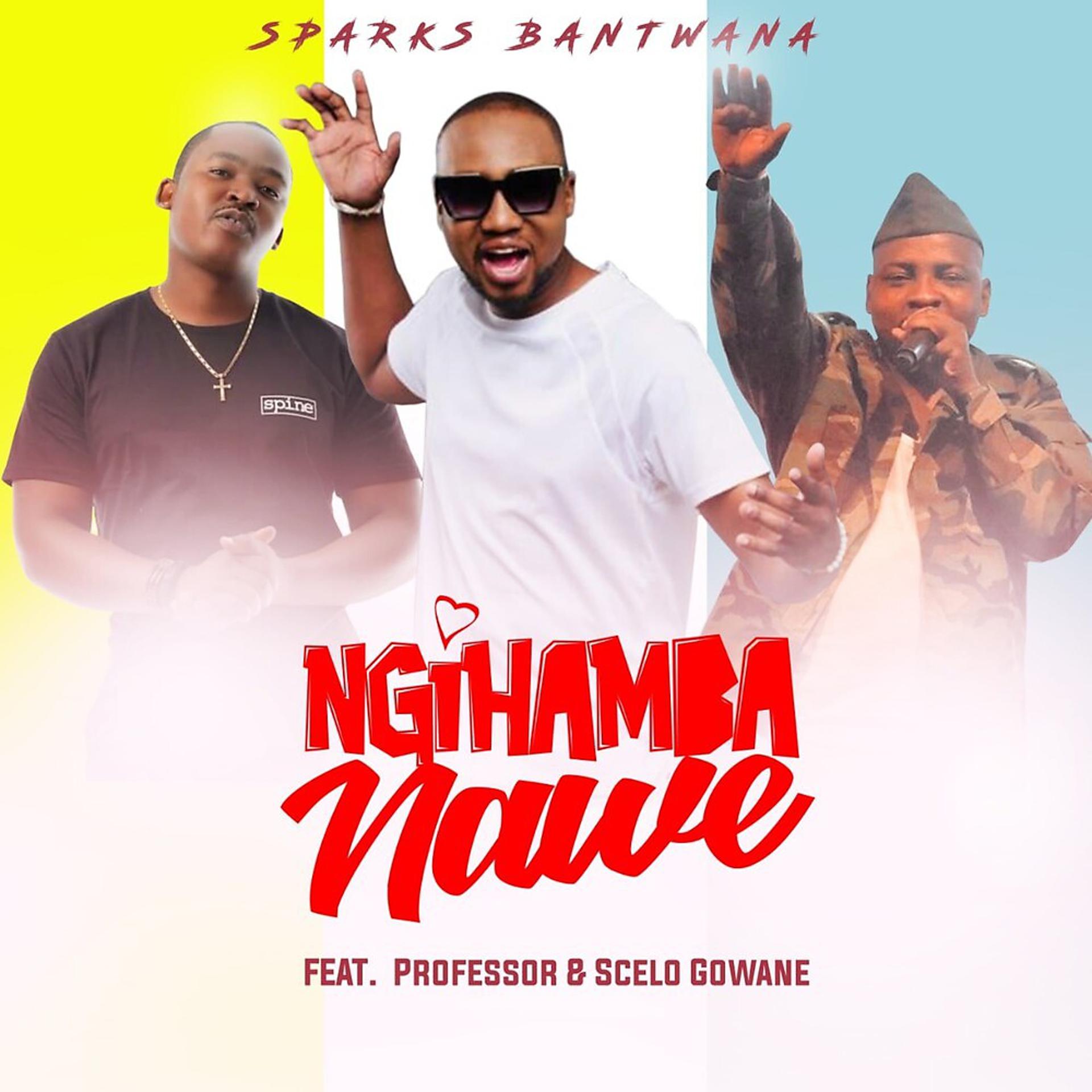 Постер альбома NgiHamba Nawe