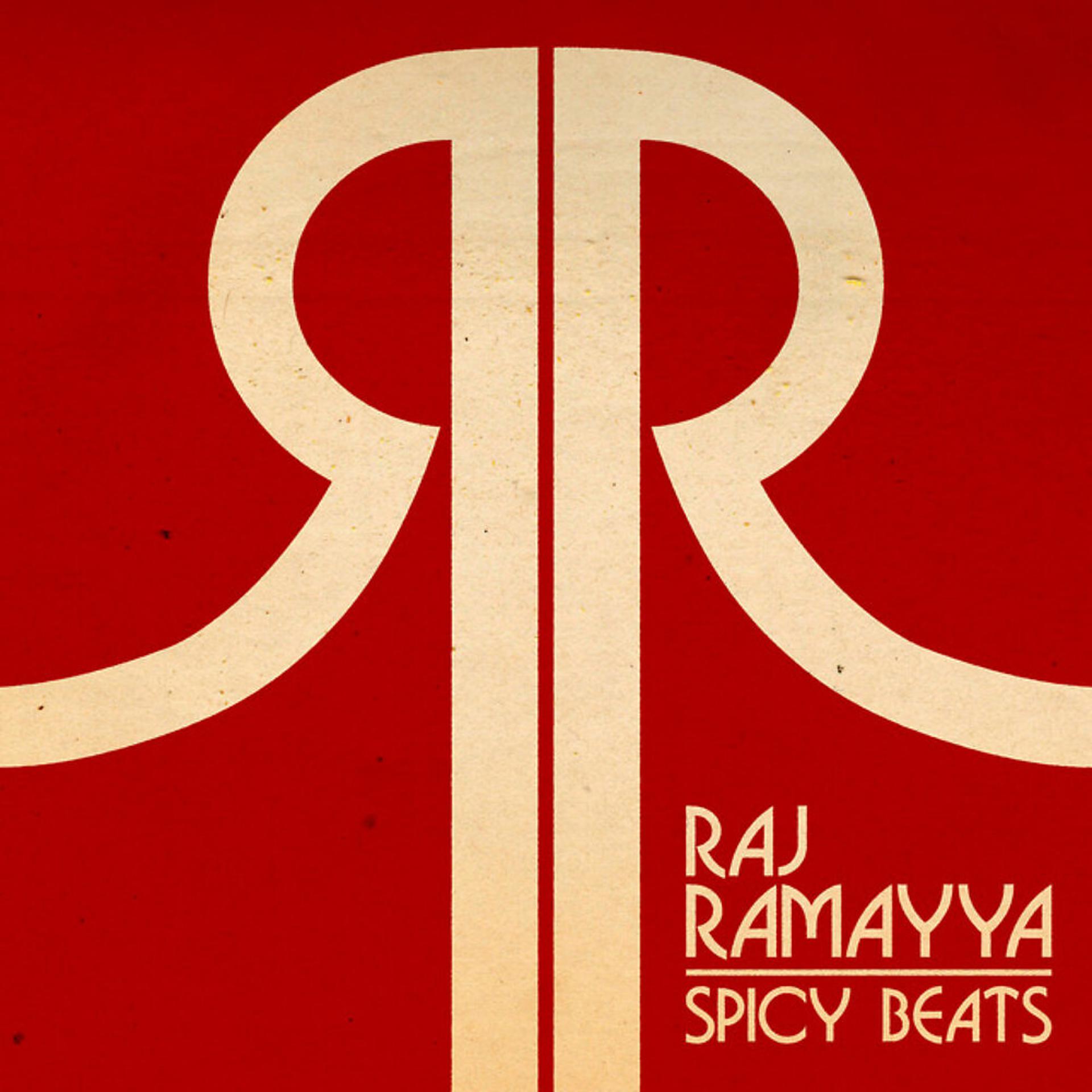 Постер альбома Spicy Beats