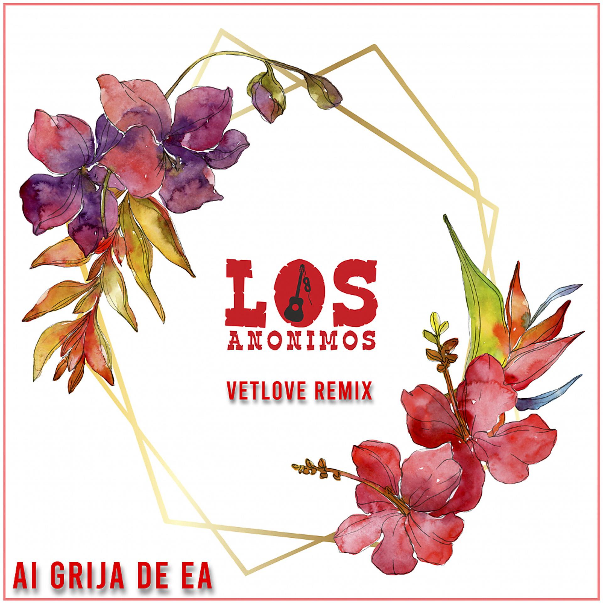 Постер альбома Ai grija de ea | Vetlove Remix