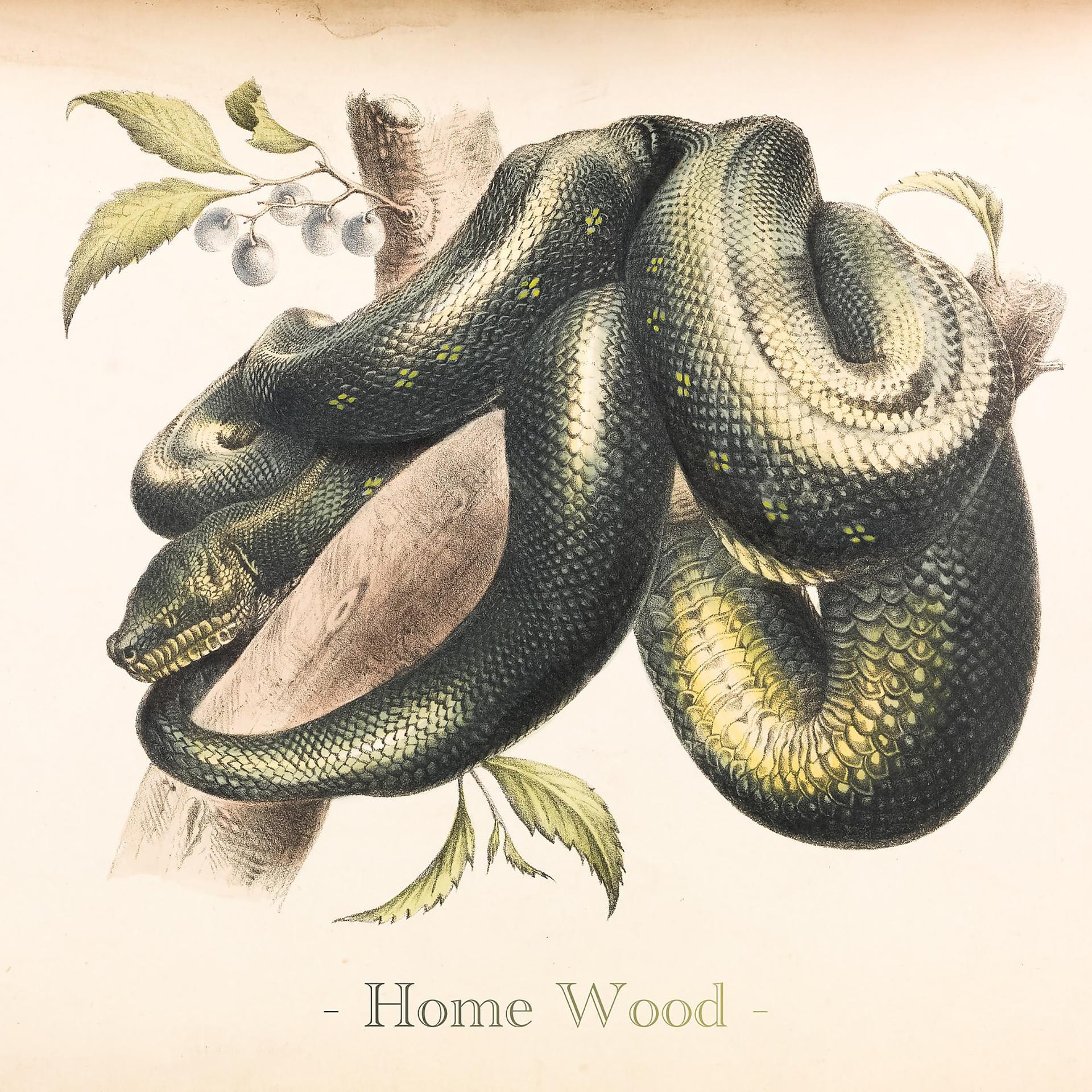 Постер альбома Home Wood