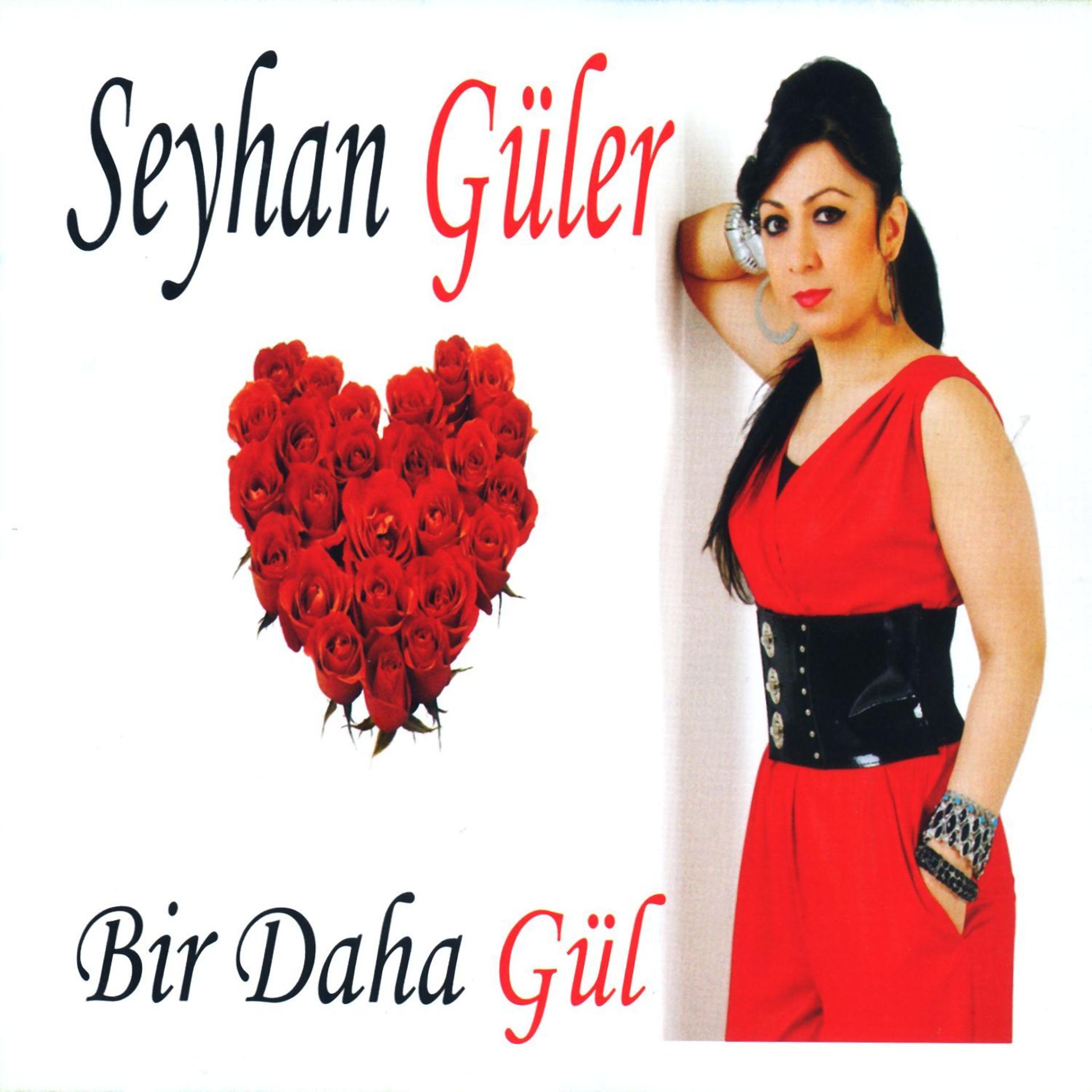 Постер альбома Bir Daha Gül