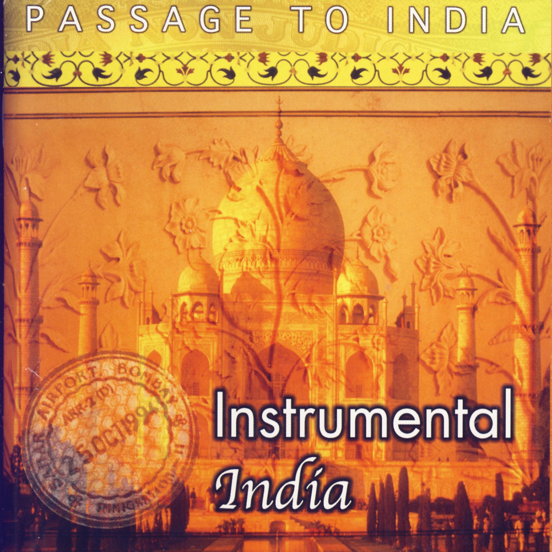 Постер альбома Instrumental India