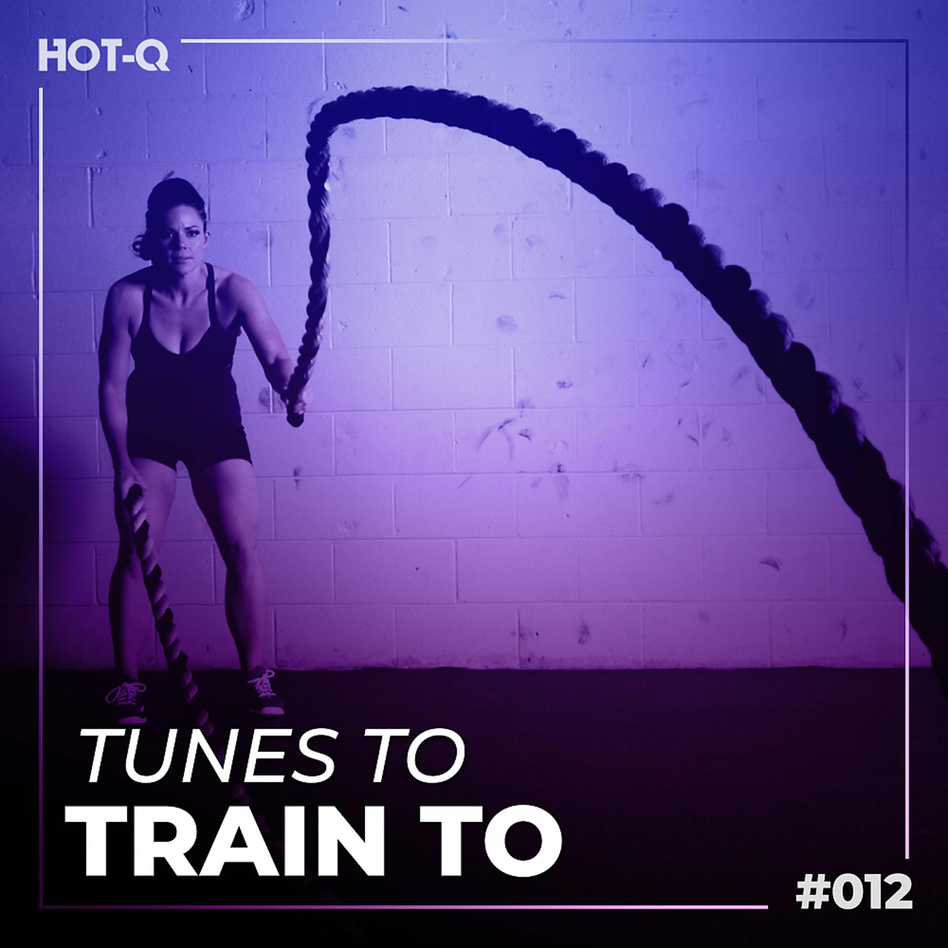 Постер альбома Tunes To Train To 012