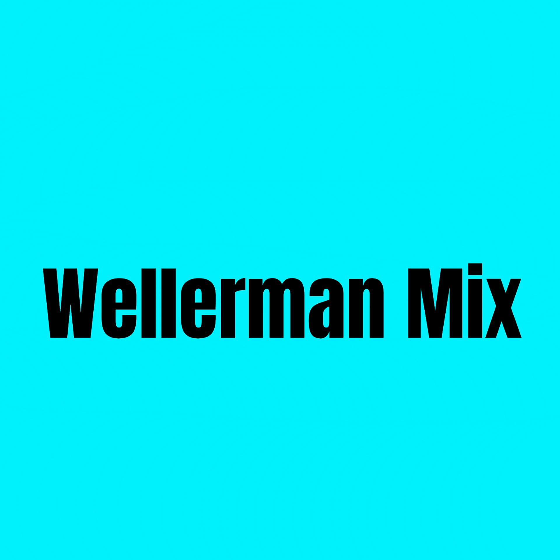 Постер альбома Wellerman Mix