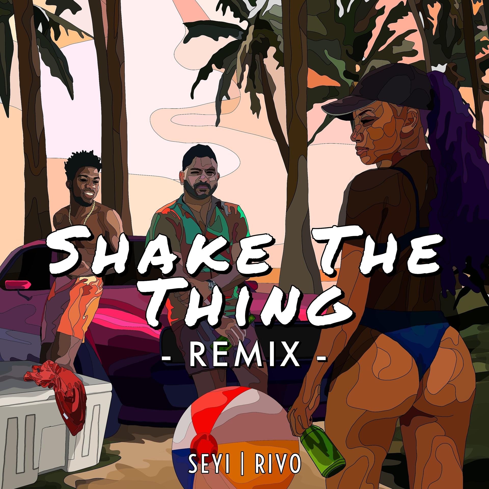 Постер альбома Shake the Thing (Remix)