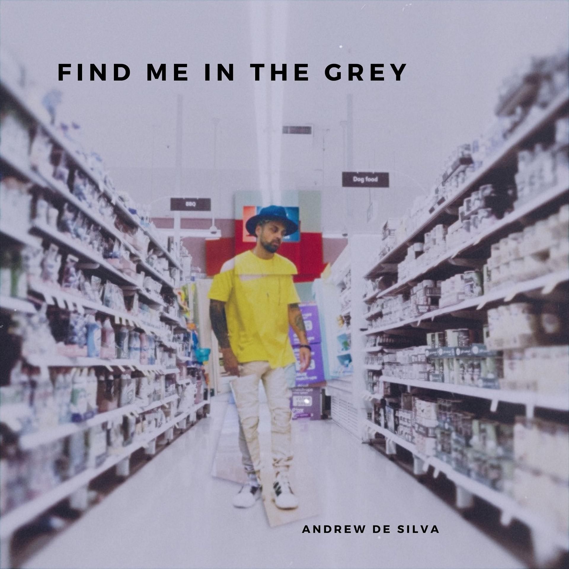 Постер альбома Find Me In The Grey