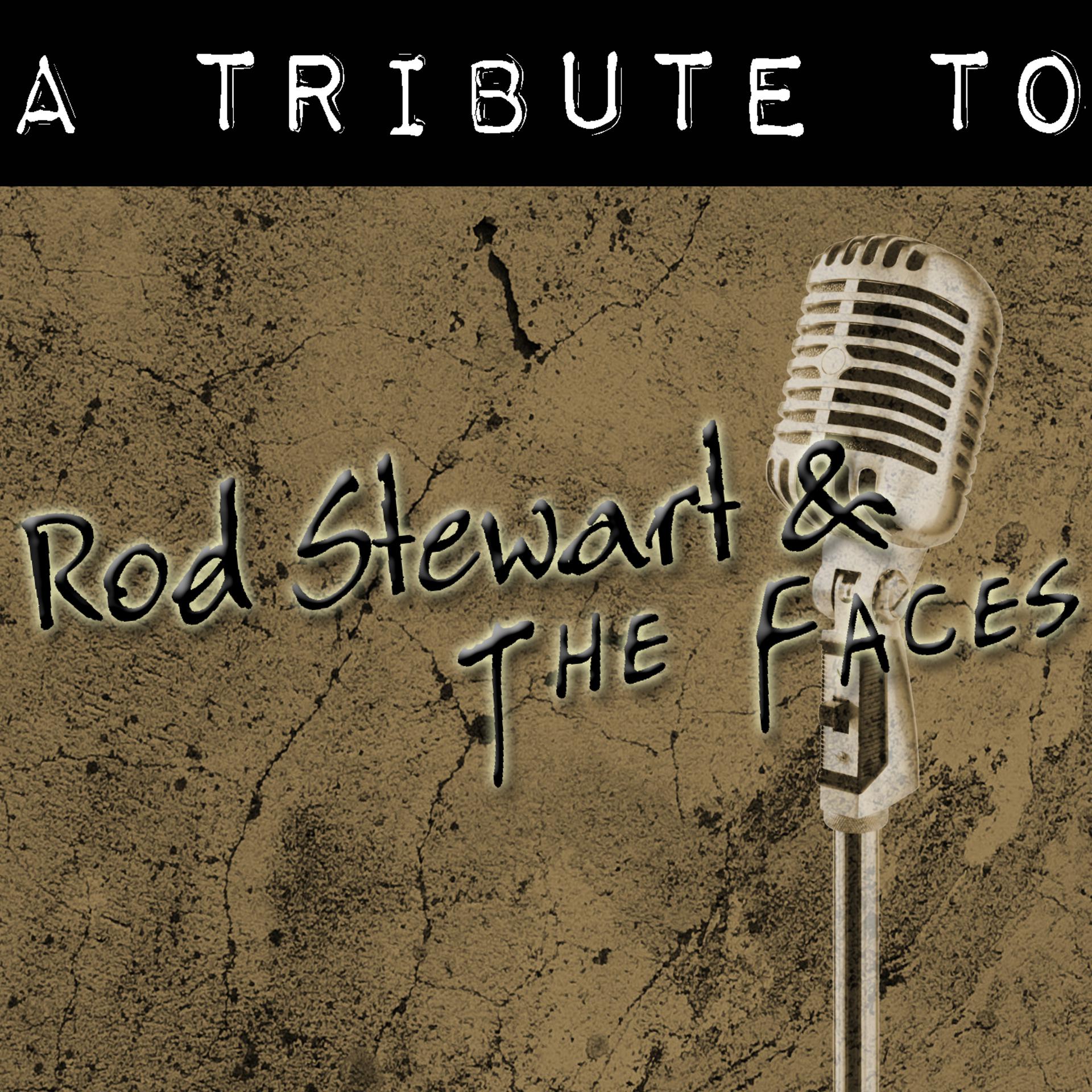 Постер альбома A Tribute To Rod Stewart