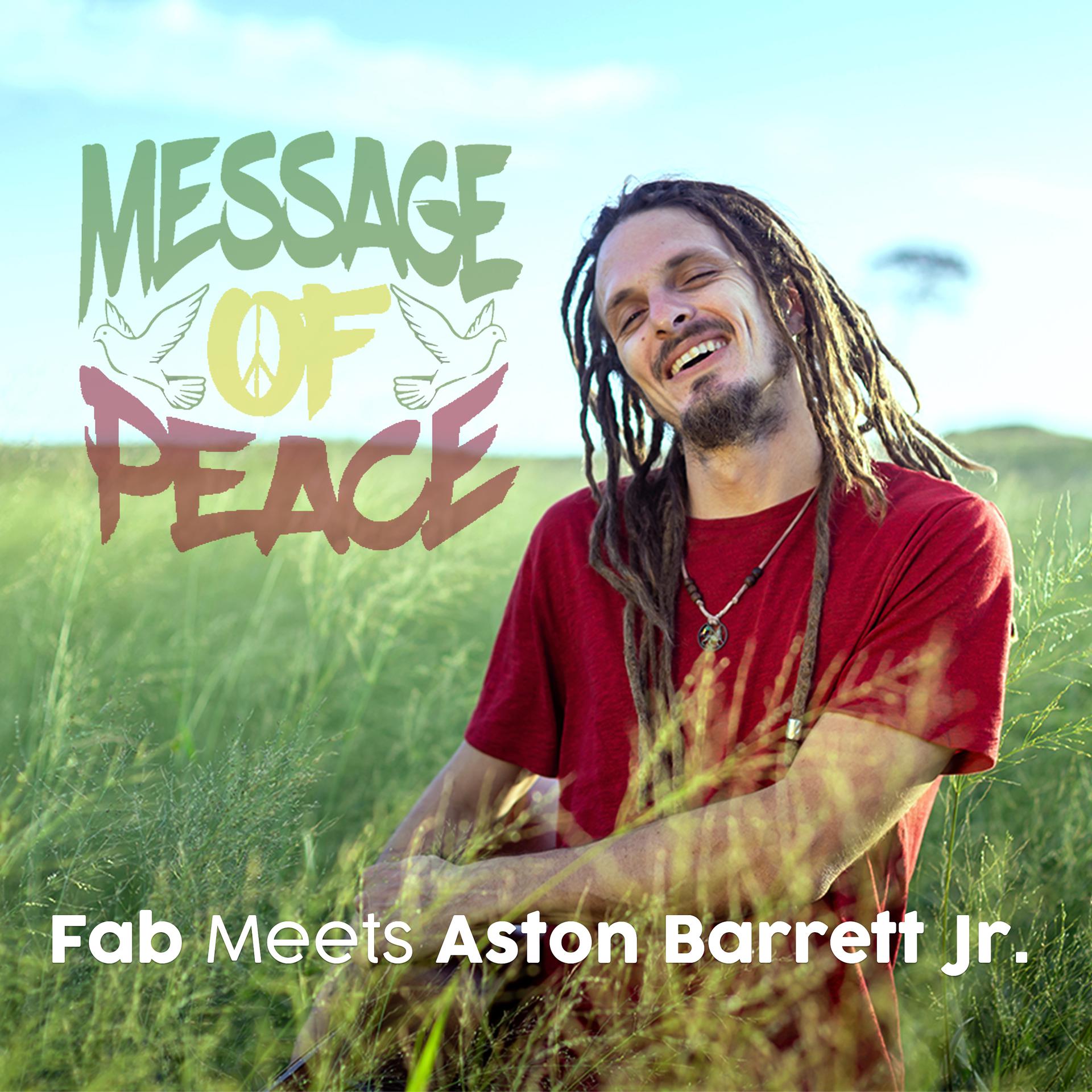 Постер альбома Message of Peace