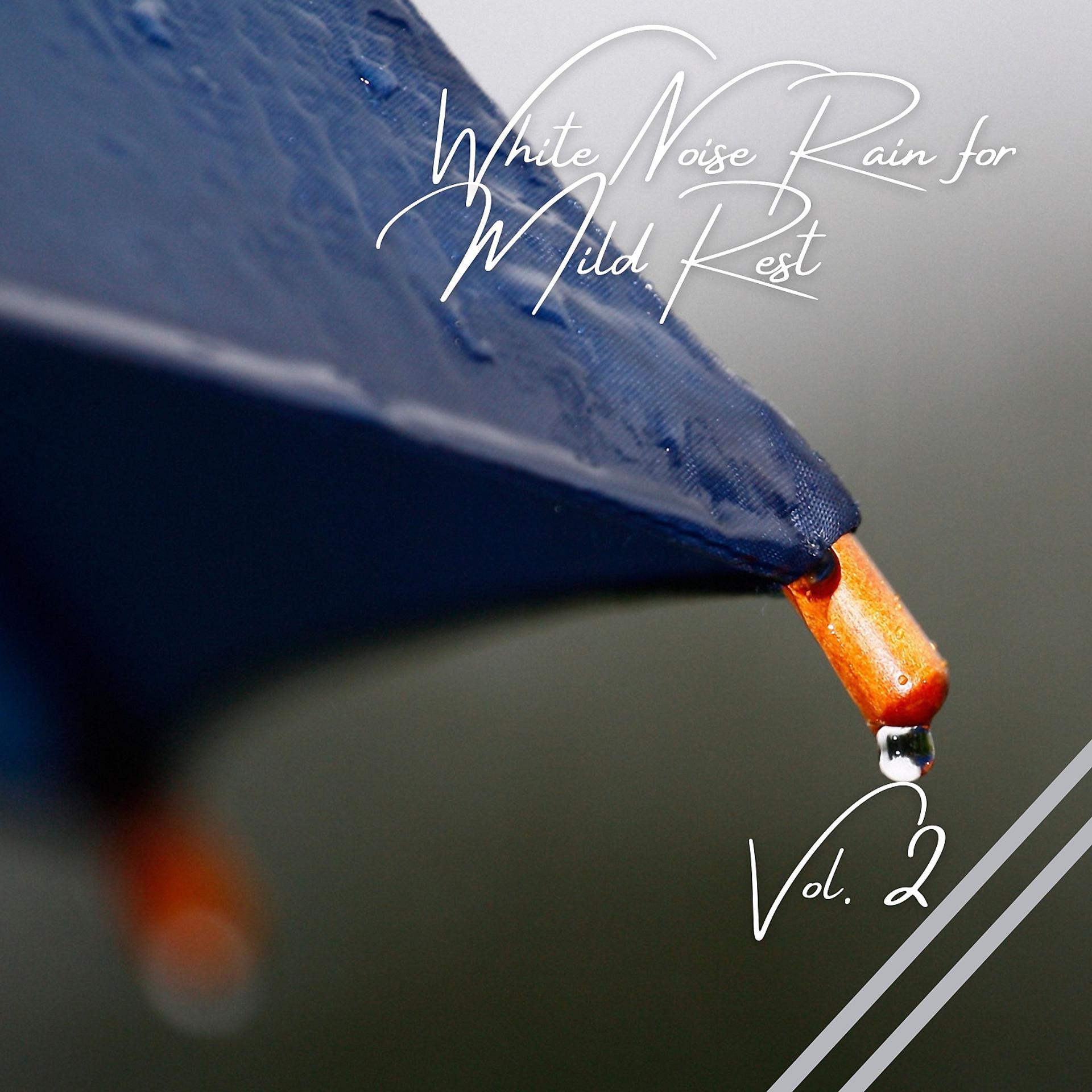 Постер альбома White Noise Rain for Mild Rest Vol. 2