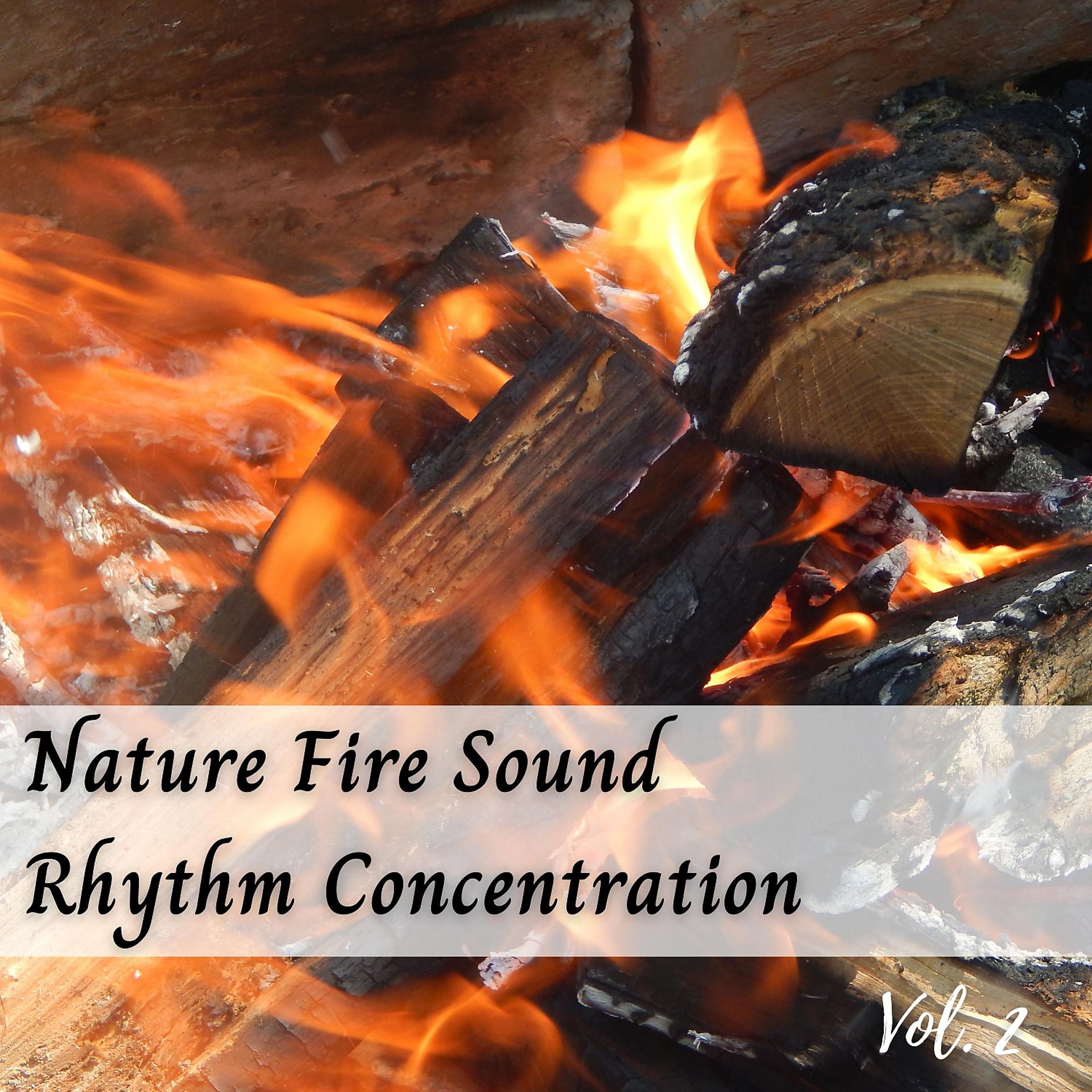 Постер альбома Nature Fire Sound Rhythm Concentration Vol. 2