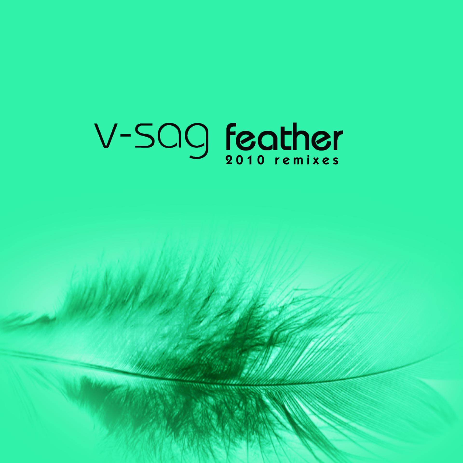 Постер альбома Feather 2010 Remixes