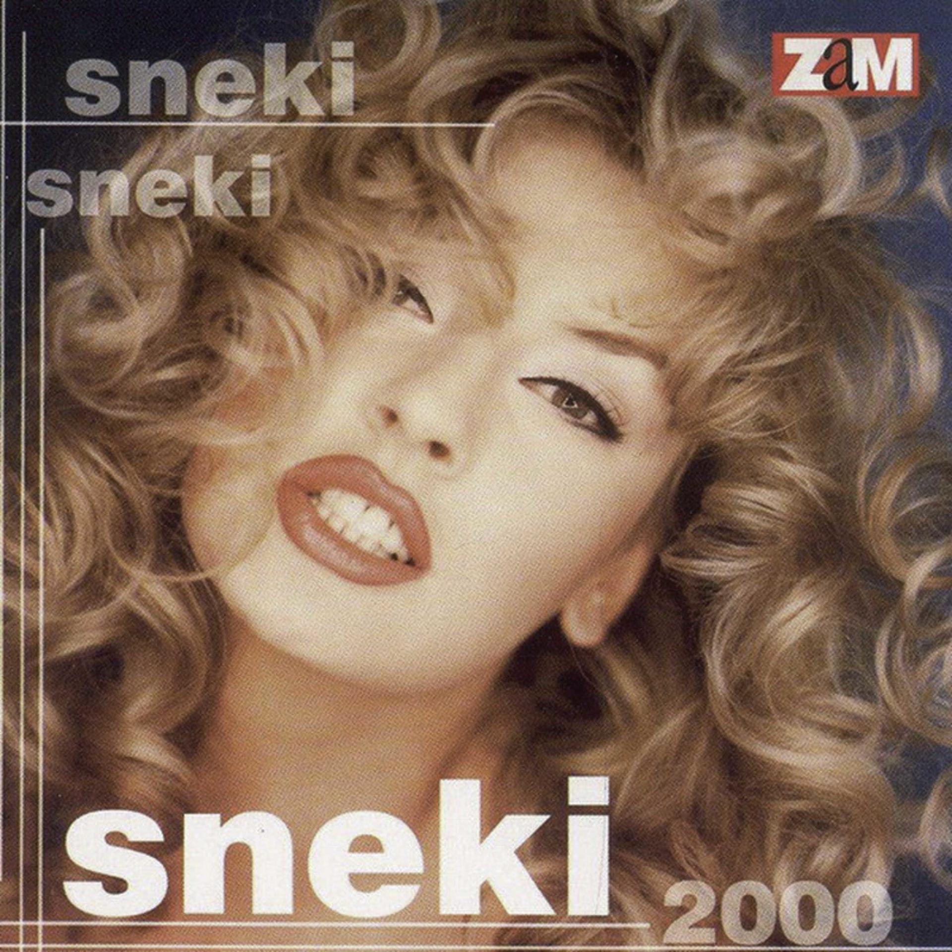 Постер альбома Sneki 2000