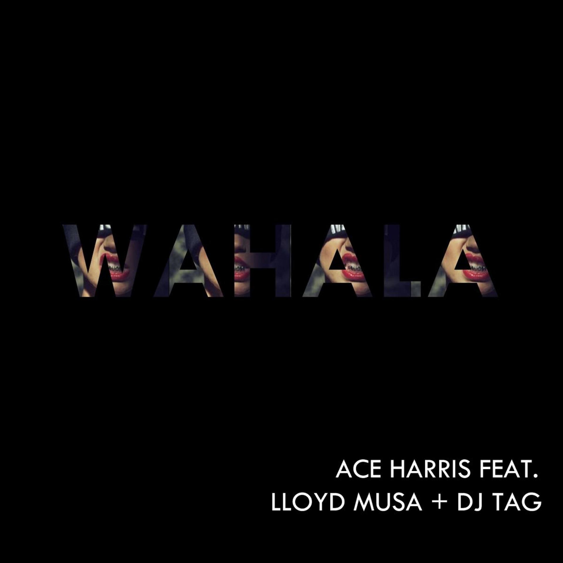 Постер альбома Wahala (feat. Lloyd Musa & DJ Tag)
