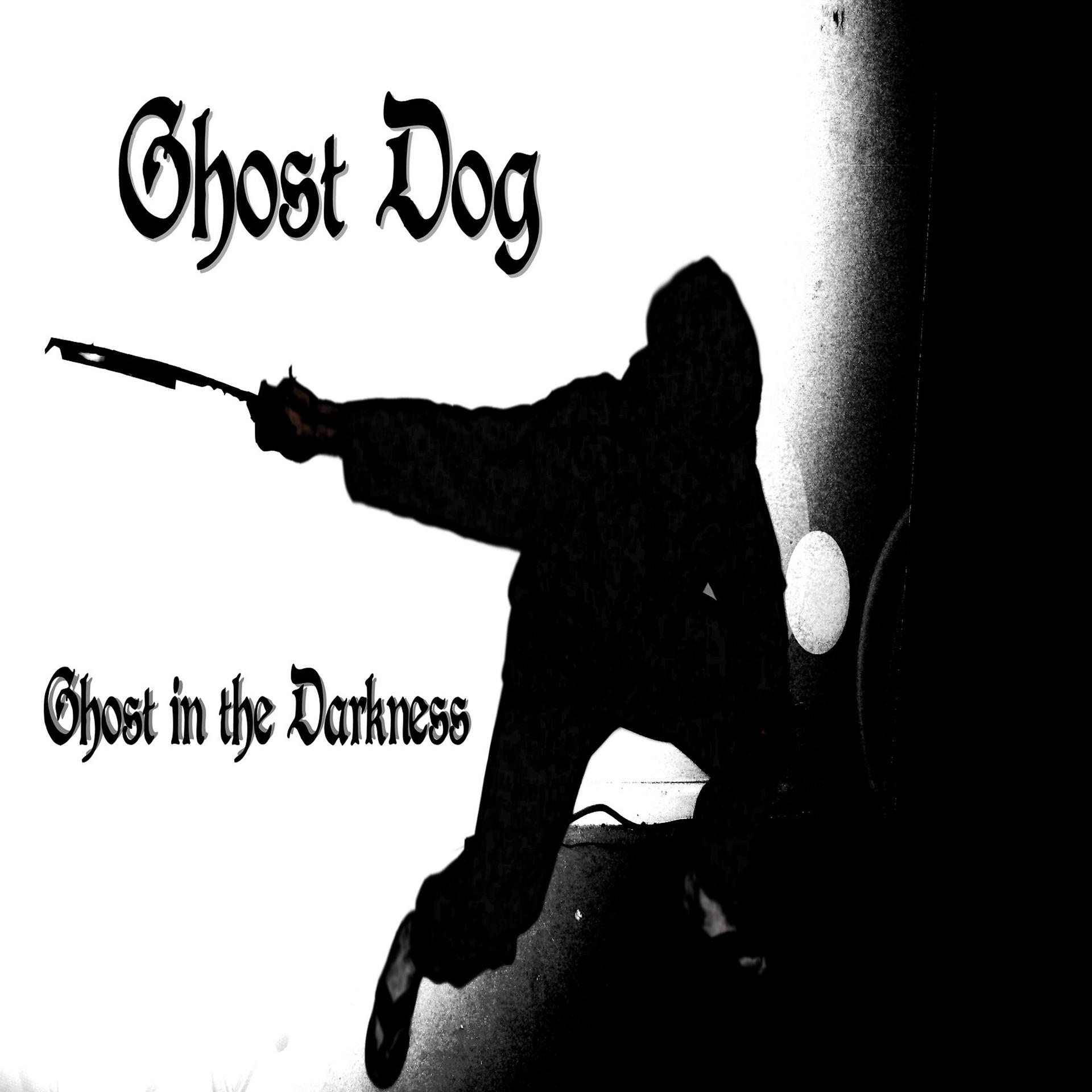 Постер альбома Ghost in the Darkness
