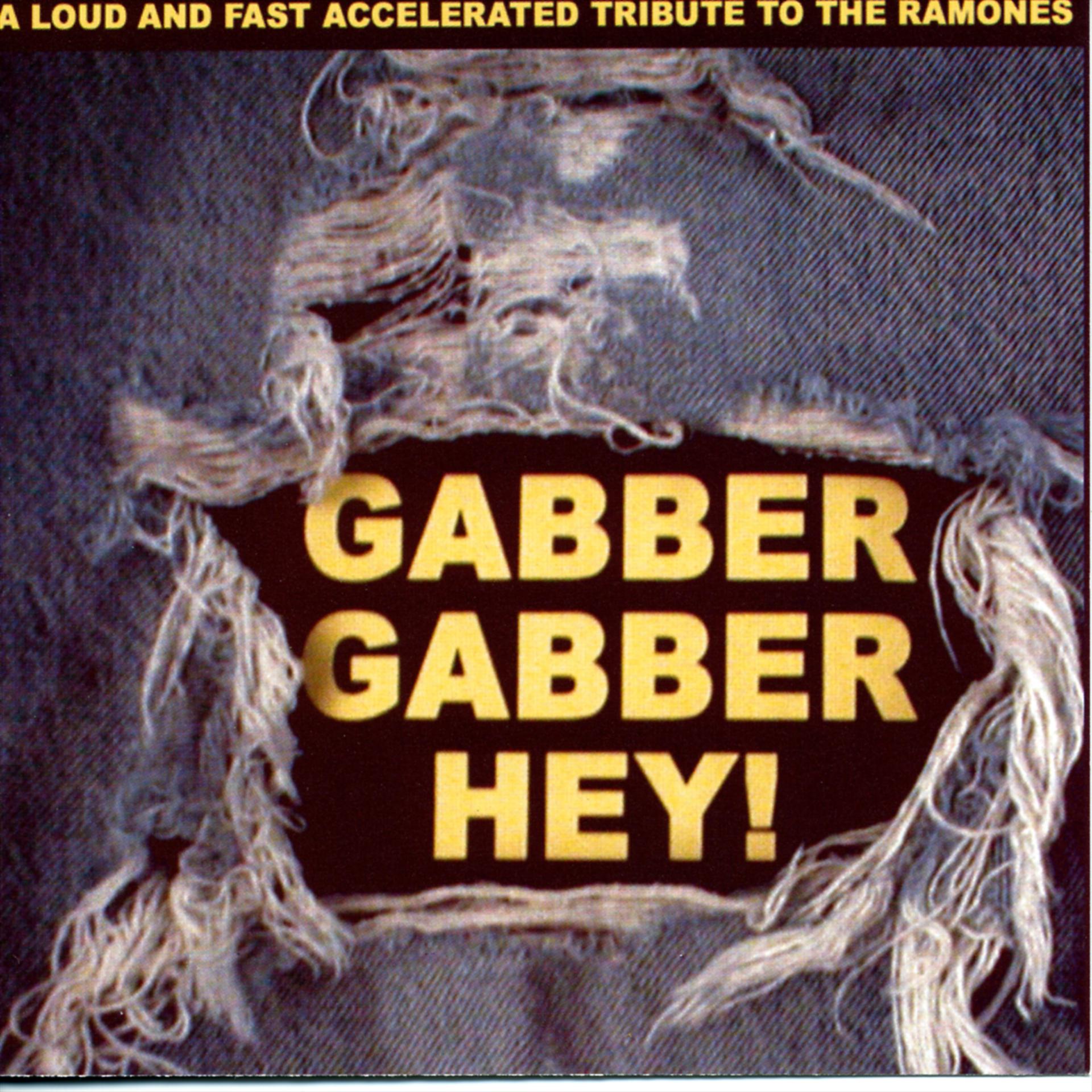 Постер альбома Gabber Gabber Hey - A Loud And Fast Accelerated Tribute To The Ramones