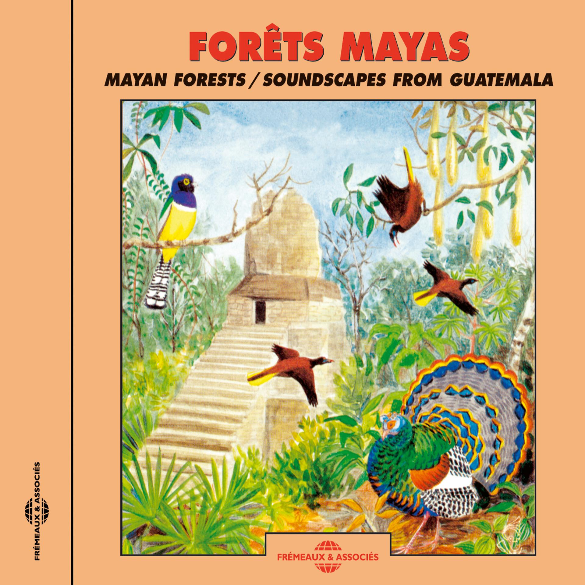 Постер альбома Forêts Maya