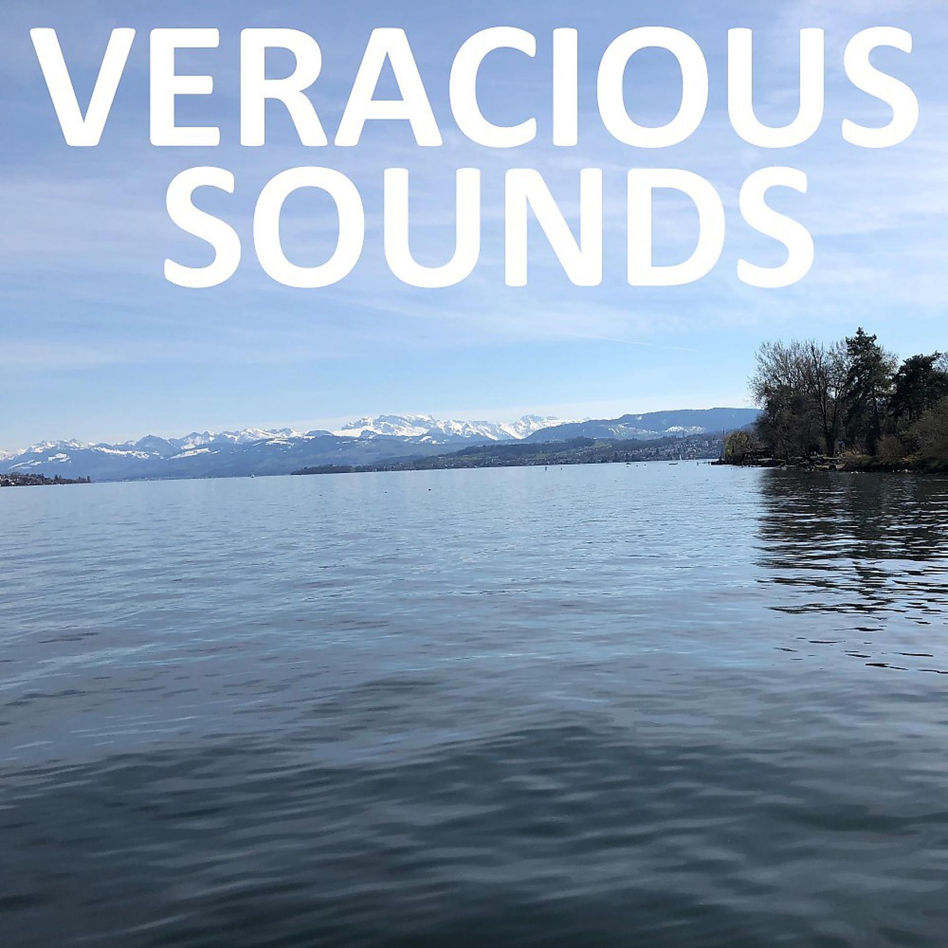 Постер альбома Veracious Sounds