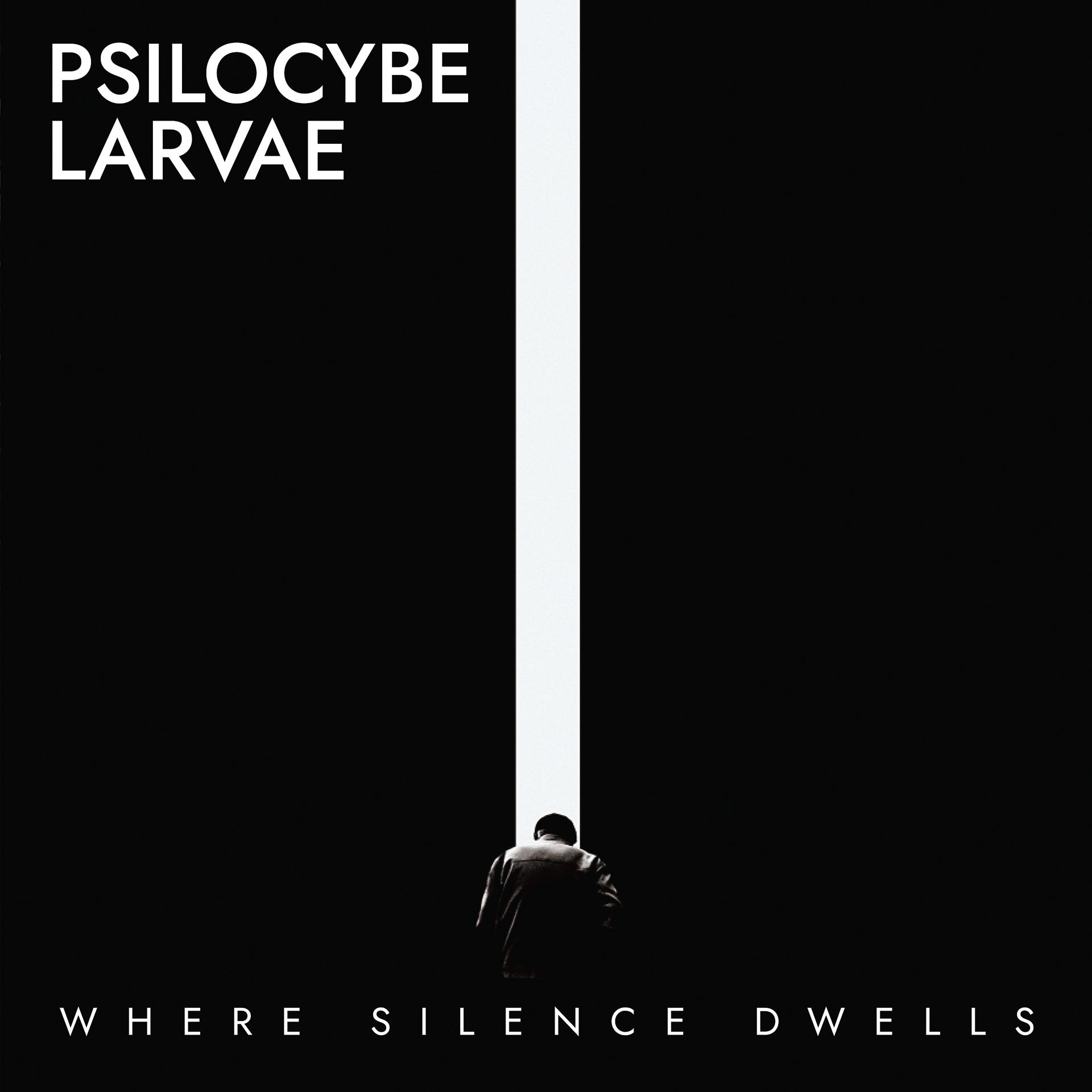 Постер альбома Where Silence Dwells