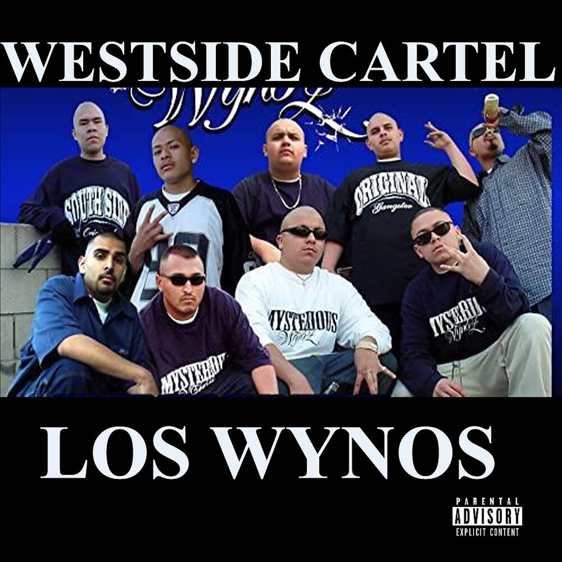 Постер альбома Los Wynos