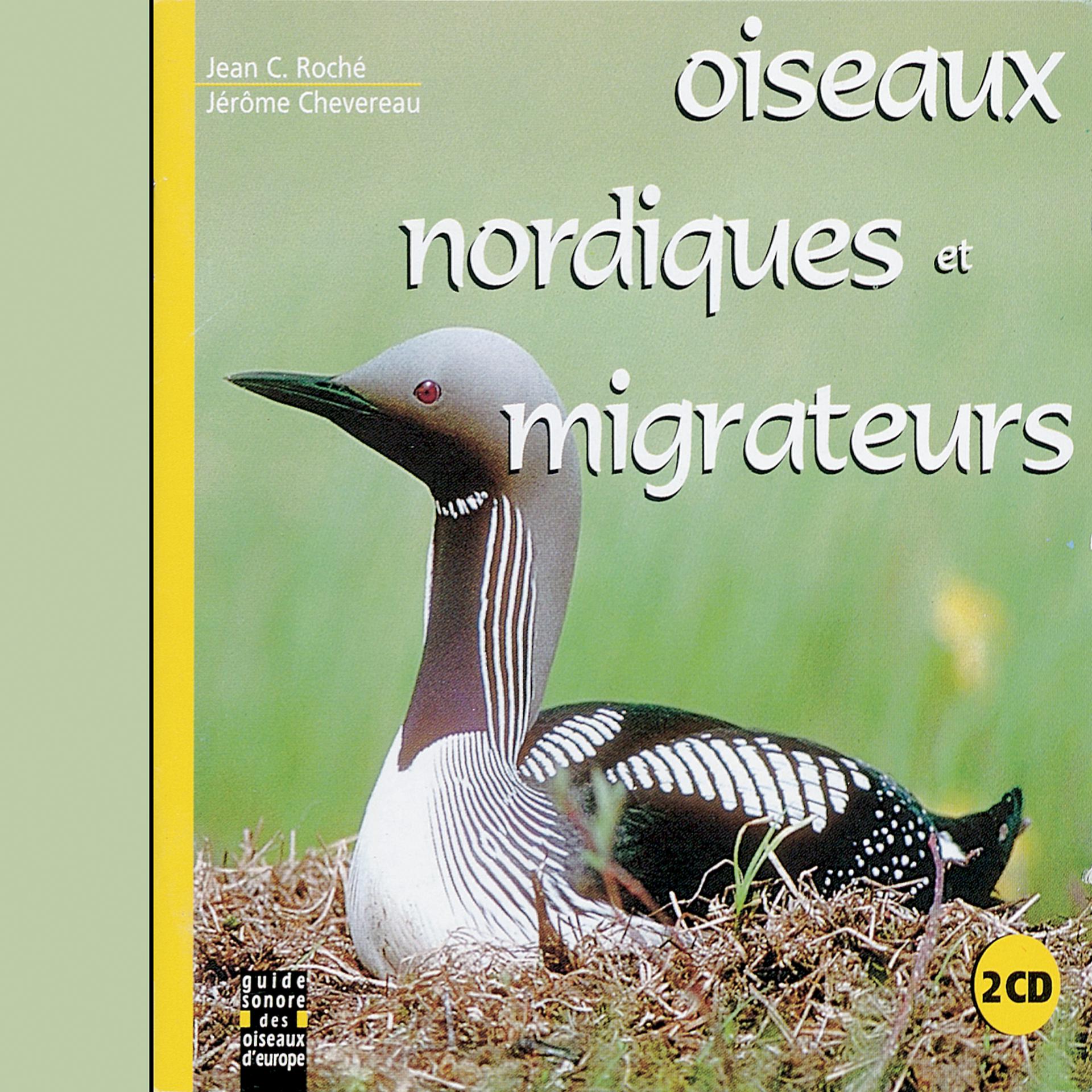Постер альбома Nordic And Migratory Birds