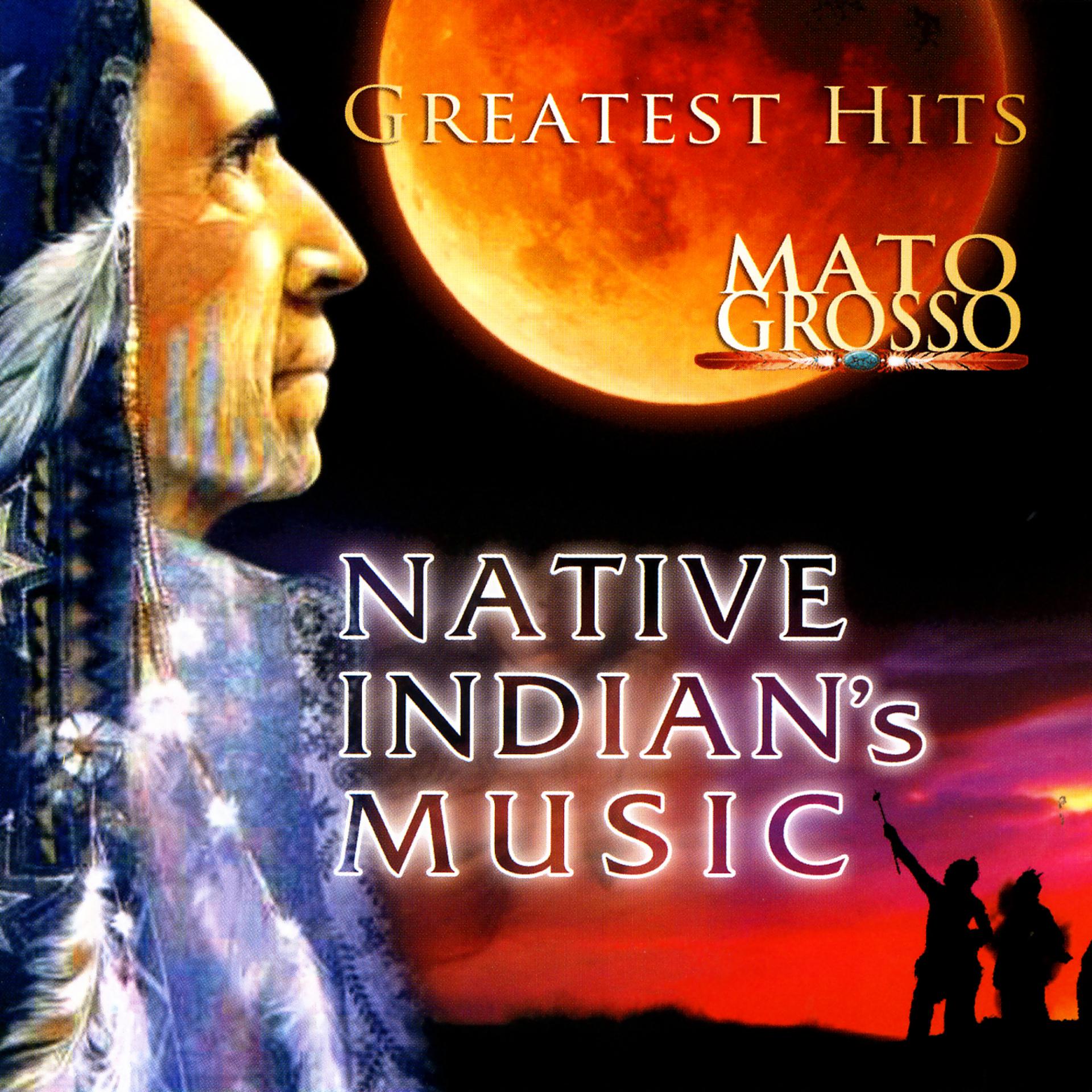 Постер альбома Native Indian's Music