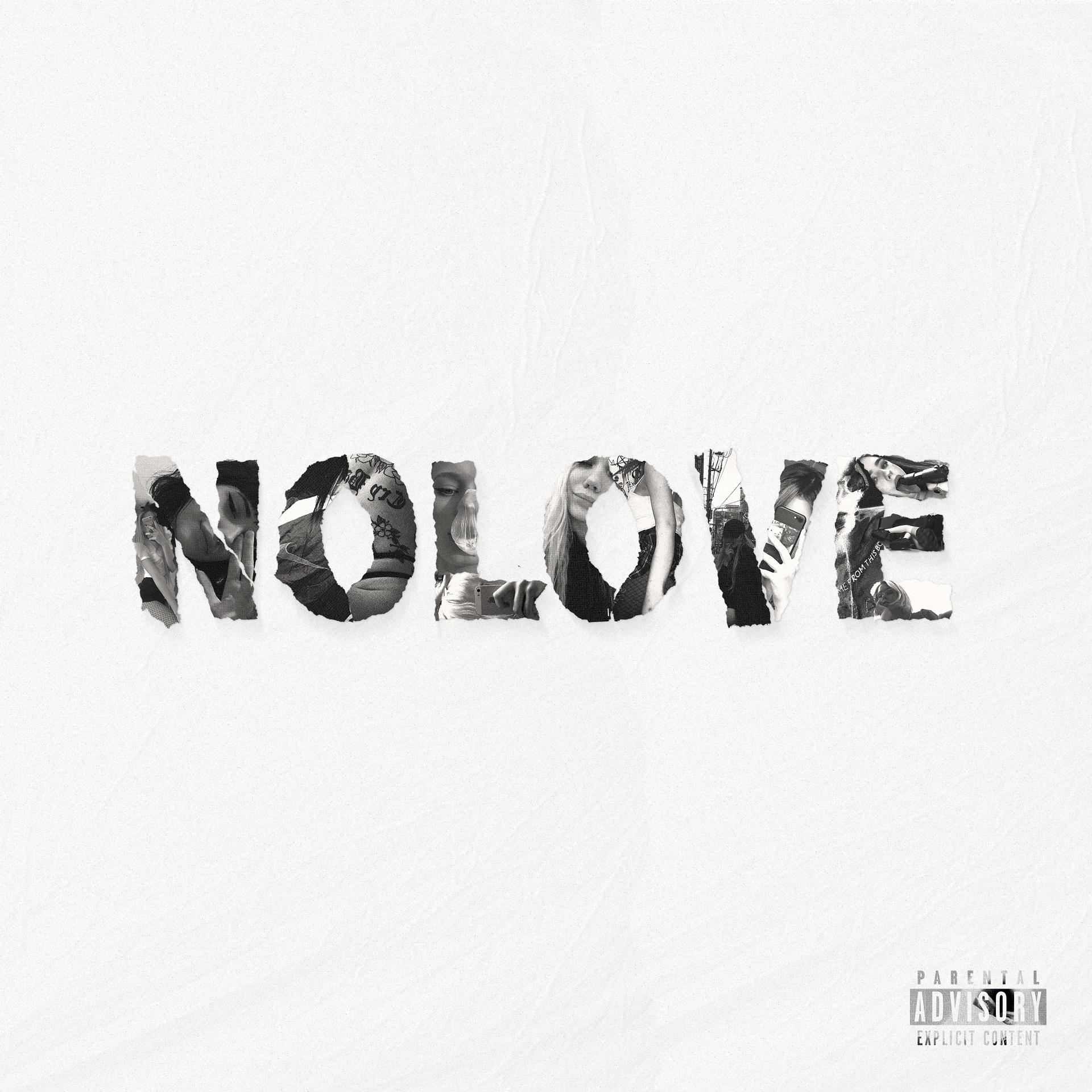 Постер альбома Nolove