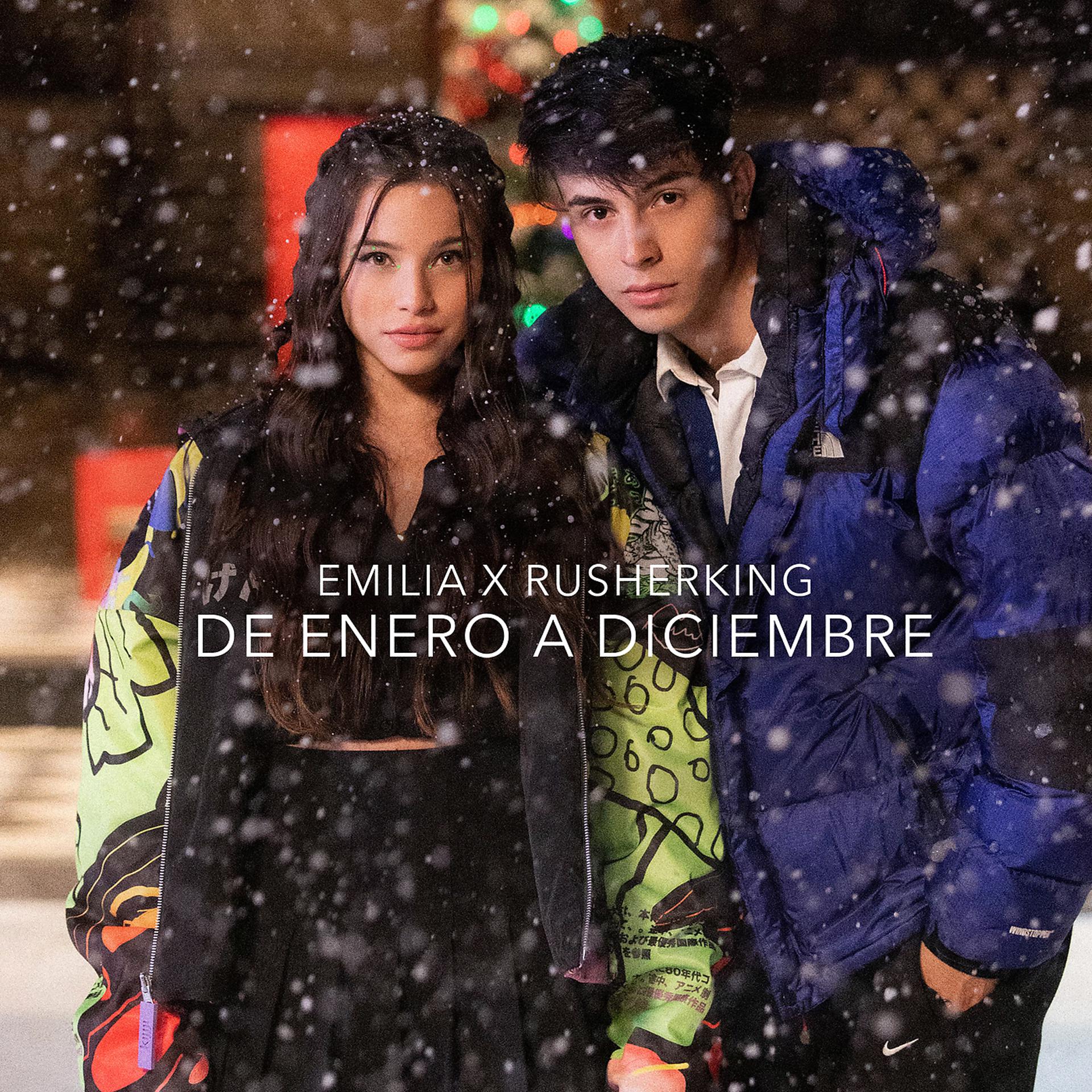 Постер альбома De Enero a Diciembre