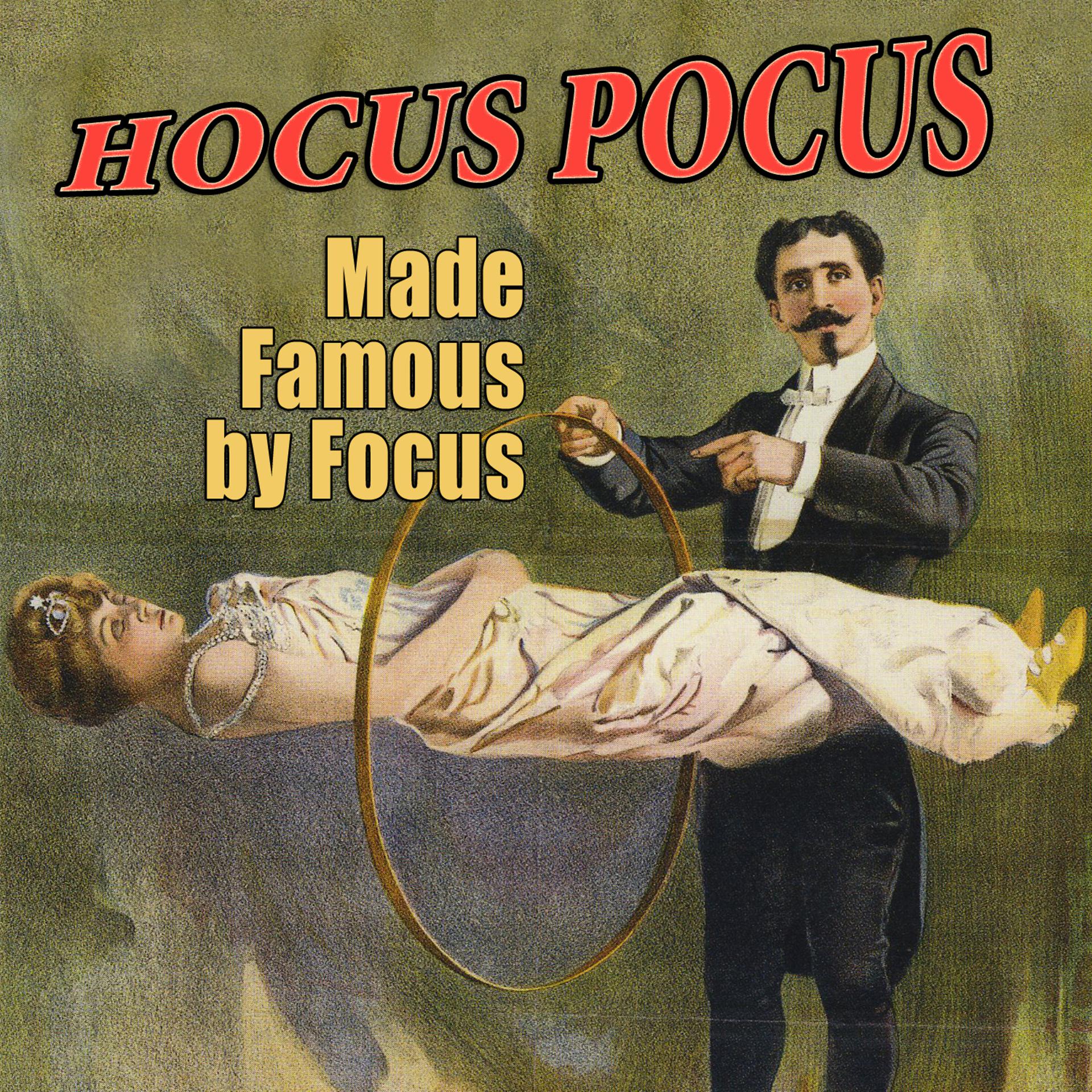 Постер альбома Hocus Pocus (Made Famous by Focus)