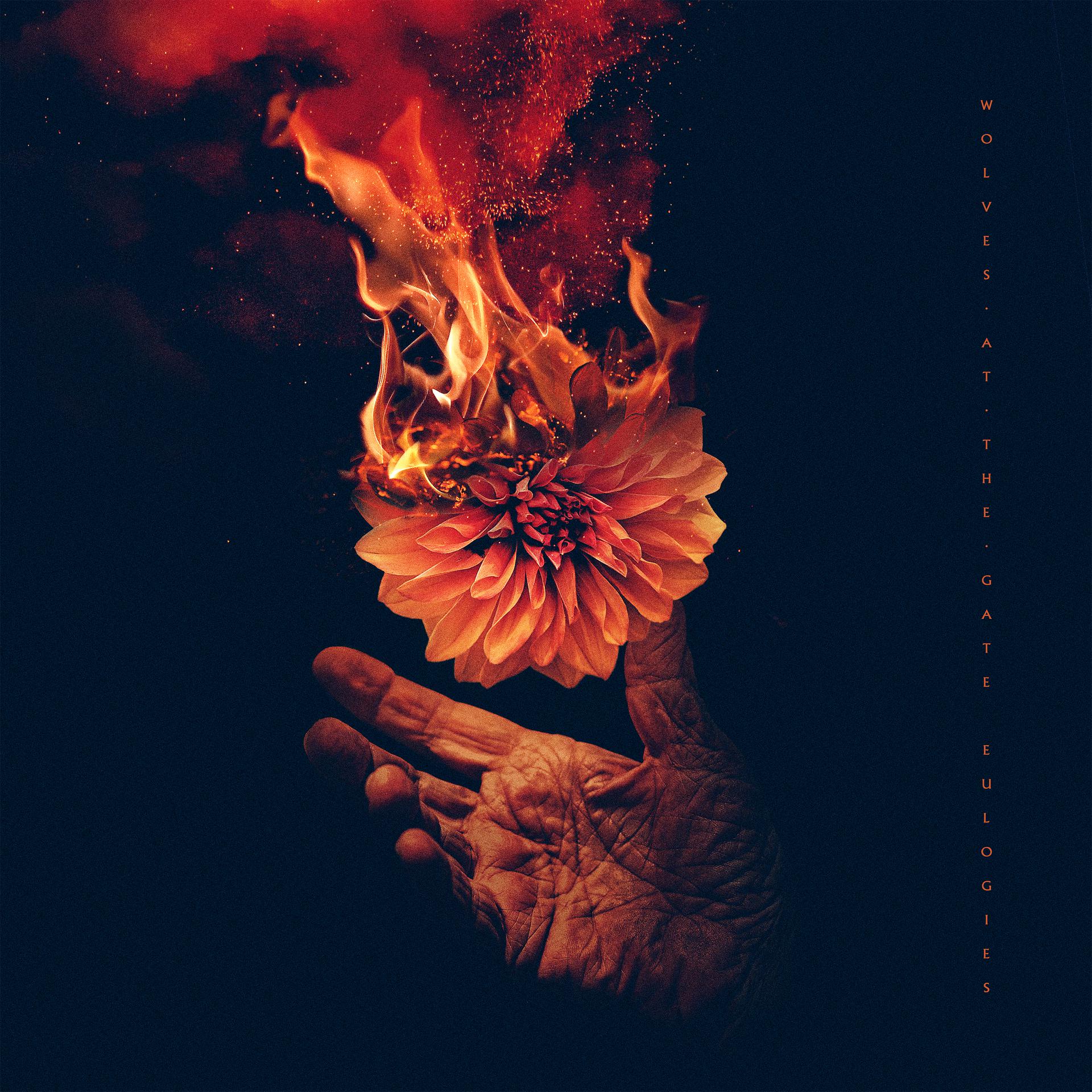 Постер альбома Lights & Fire