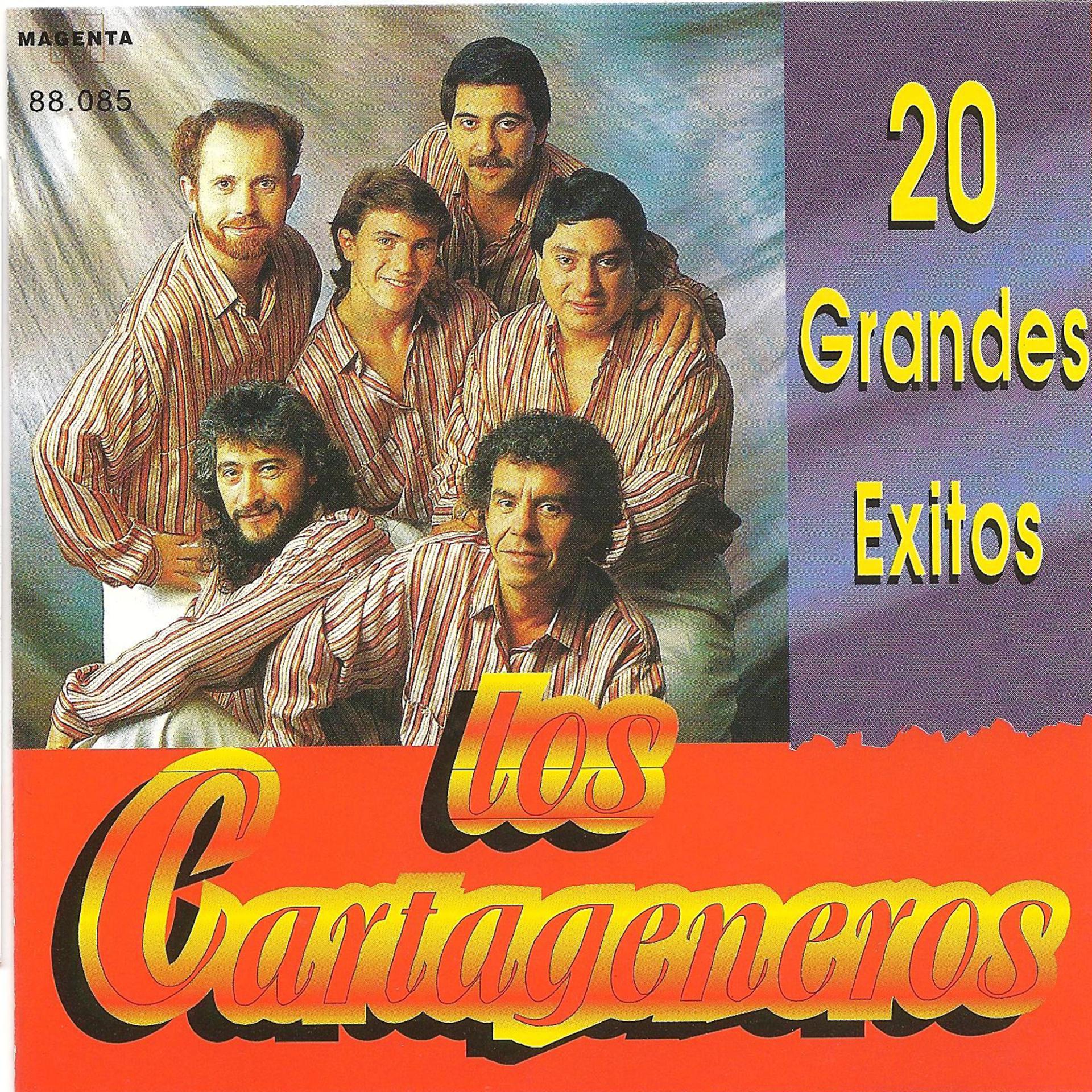 Постер альбома 20 Grandes éxitos