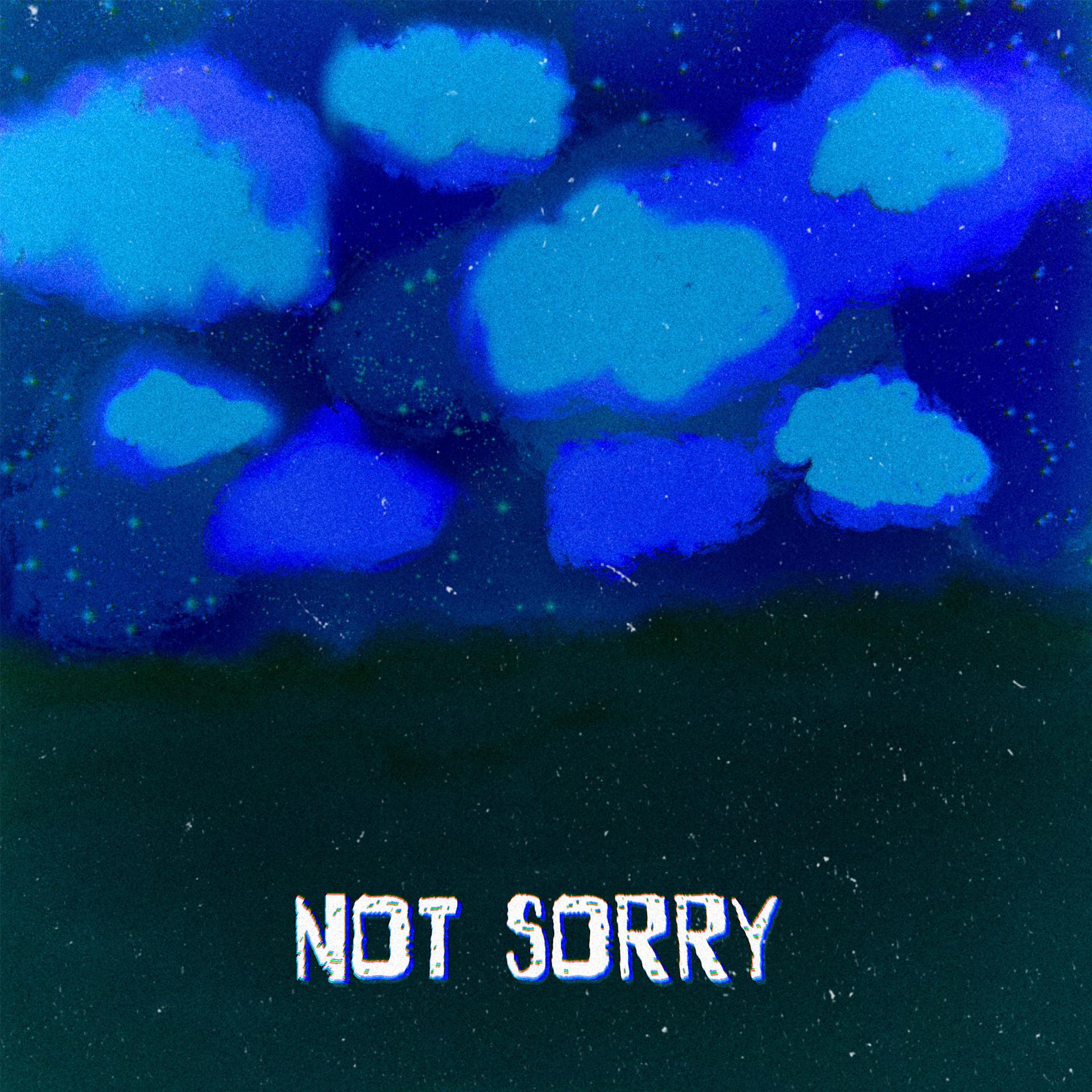 Постер альбома Not Sorry