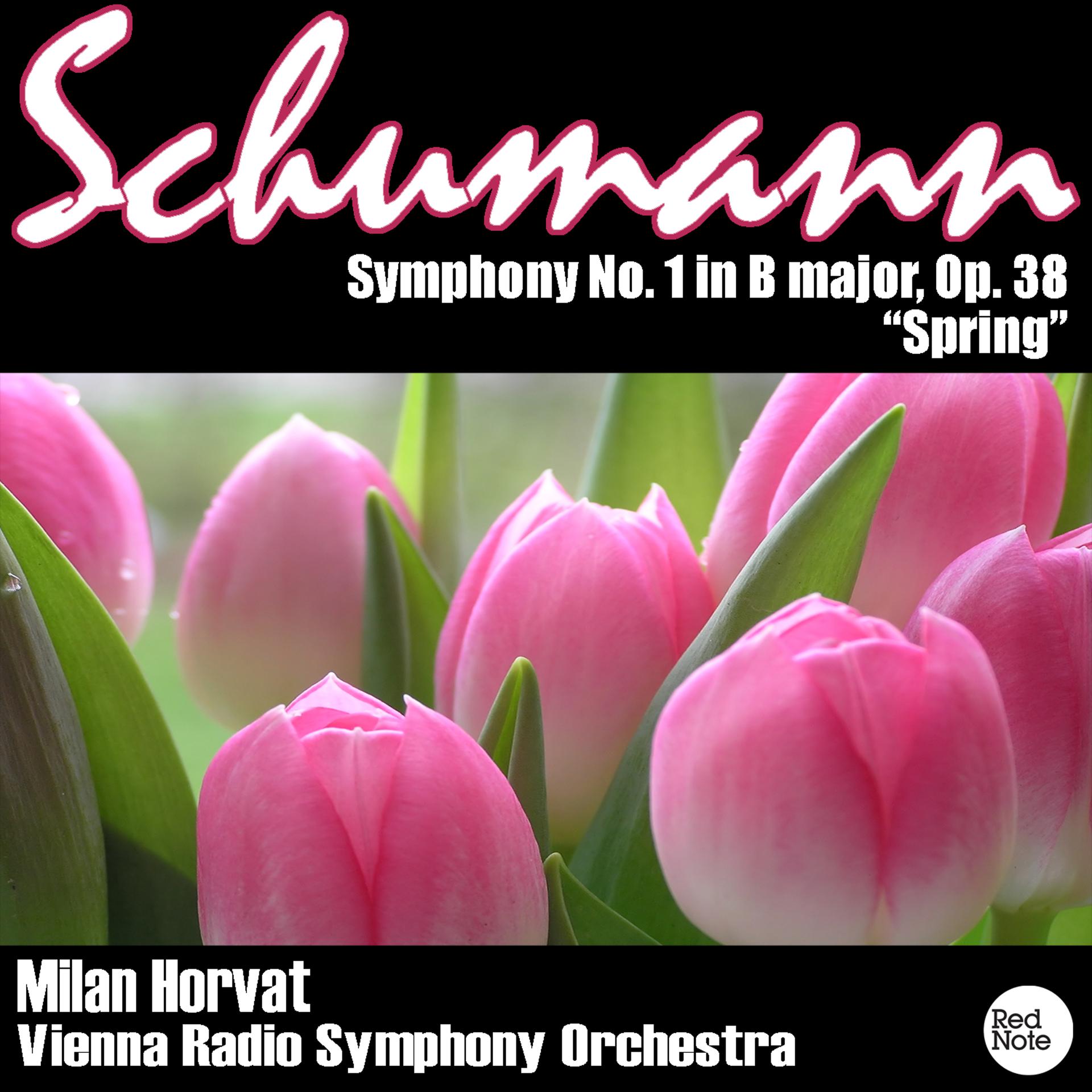 Постер альбома Schumann: Symphony No.1 in B Flat Major Op.38 "Spring"