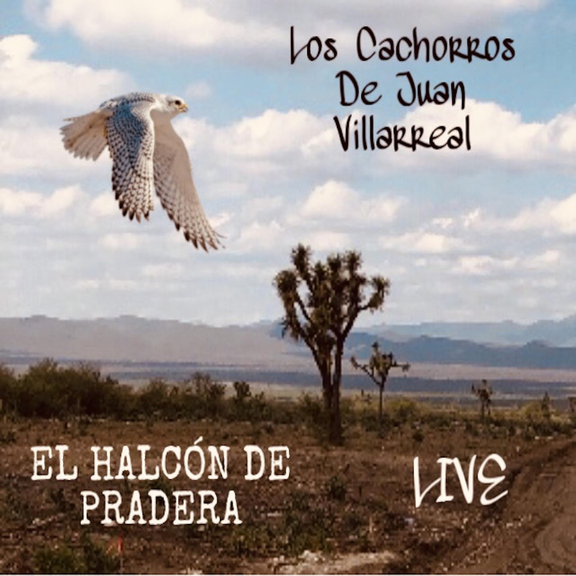 Постер альбома El Halcón de Pradera