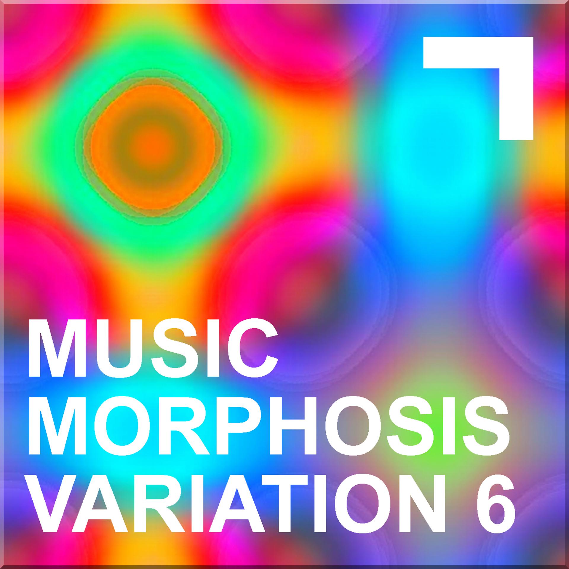 Постер альбома Musicmorphosis – Variation 6