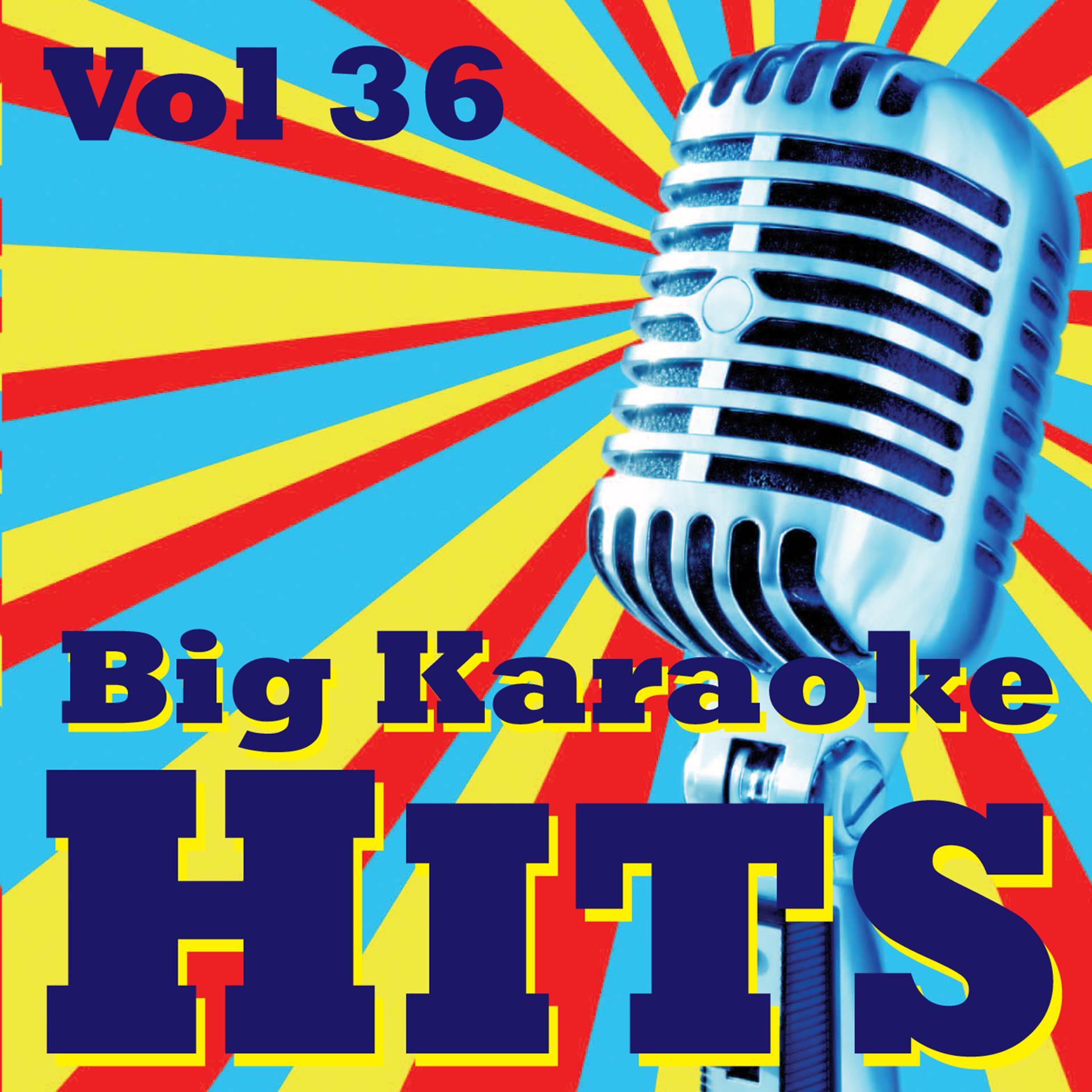 Постер альбома Big Karaoke Hits Vol.36