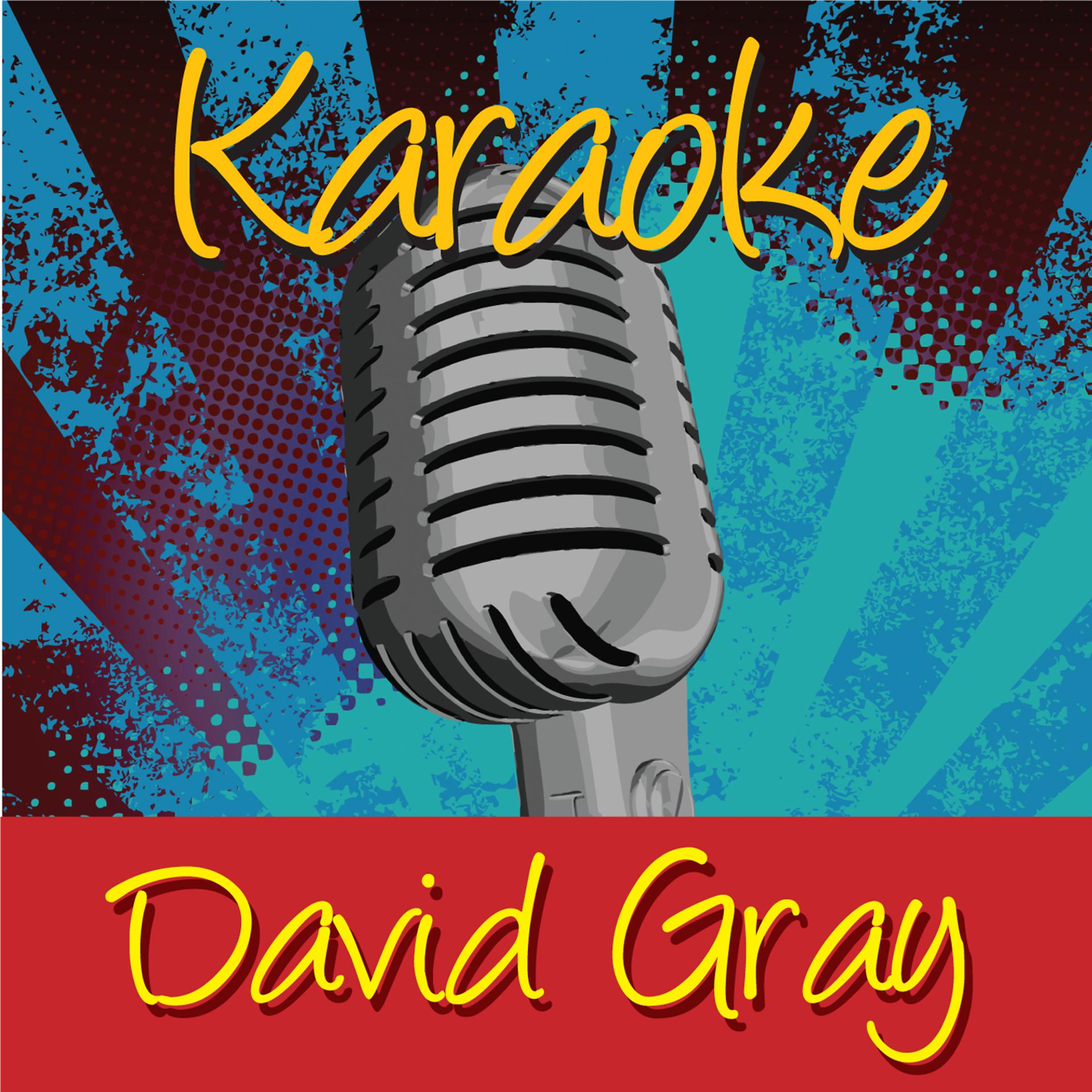 Постер альбома Karaoke - David Gray