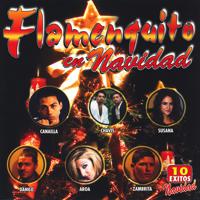 Постер альбома Flamenquito En Navidad