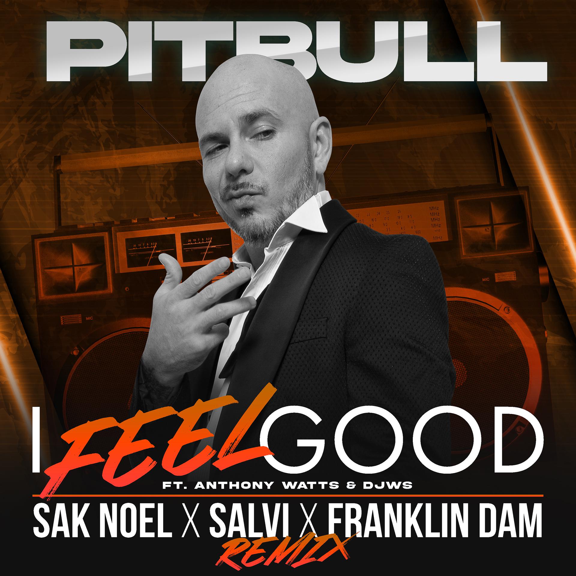 Постер альбома I Feel Good (Sak Noel X Salvi X Franklin Dam Remix)