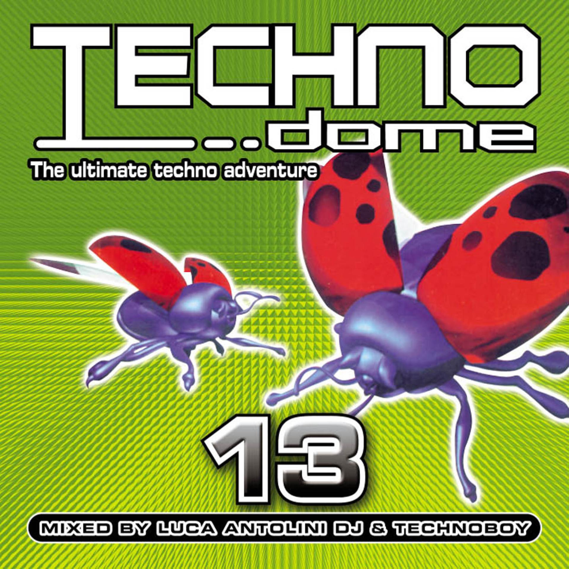 Постер альбома Technodome 13