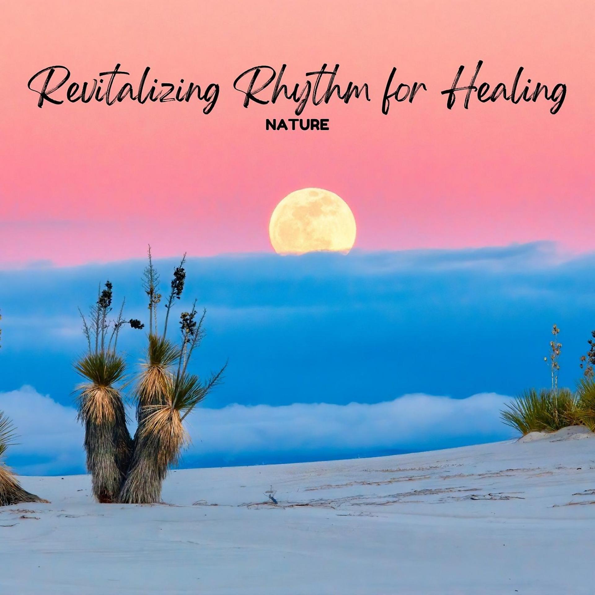 Постер альбома Nature: Revitalizing Rhythm for Healing