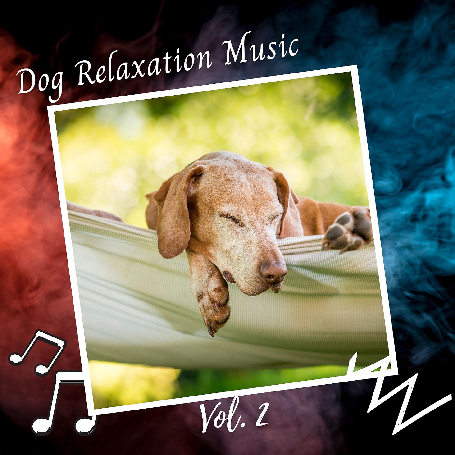 Постер альбома Dog Relaxation Music Vol. 2