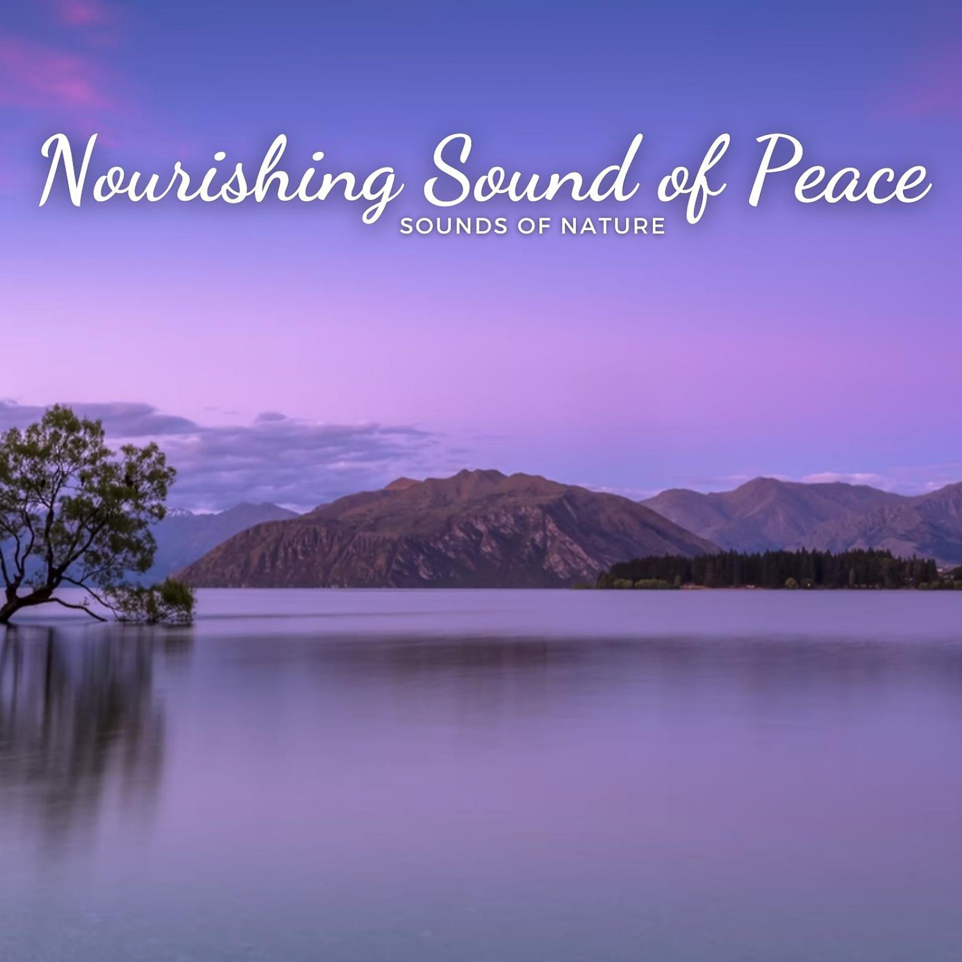Постер альбома Sounds of Nature: Nourishing Sound of Peace