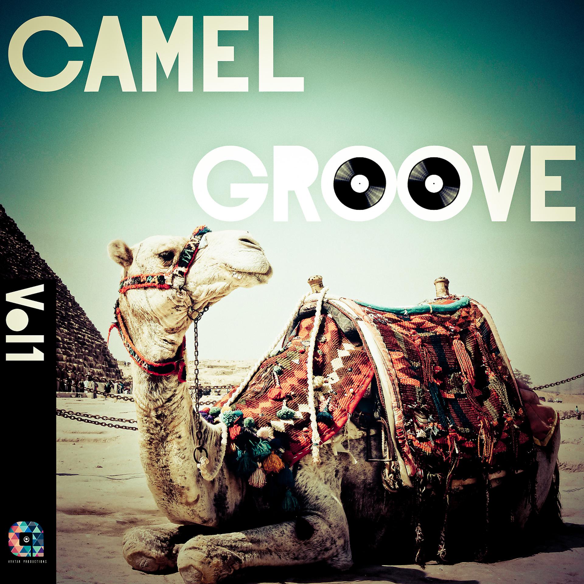 Постер альбома Camel Groove, Vol.1