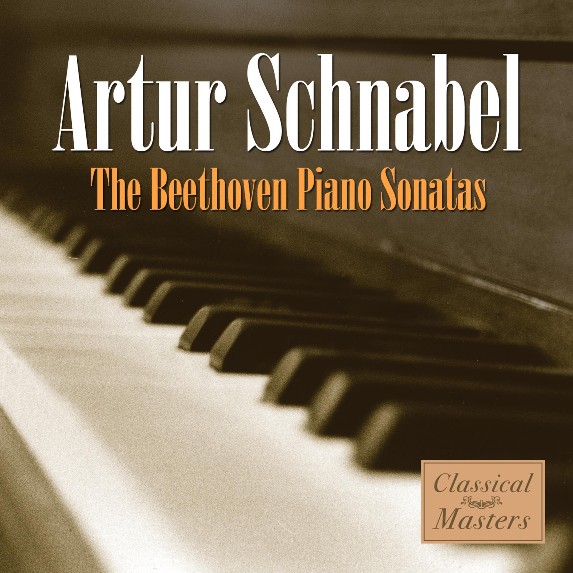 Постер альбома The Beethoven Piano Sonatas