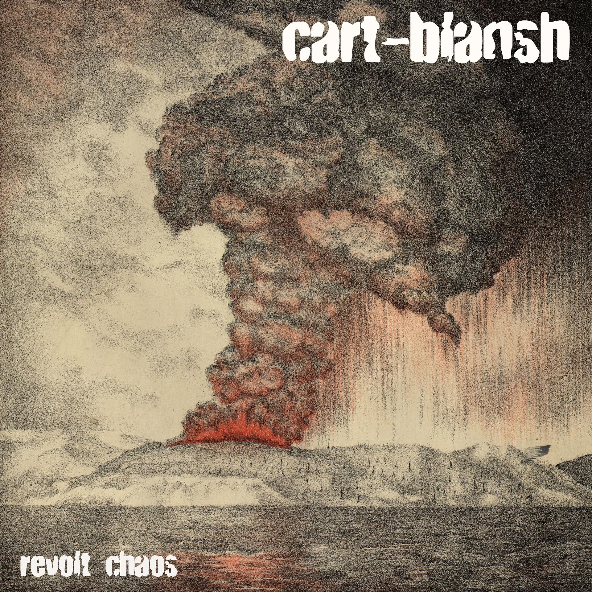 Постер альбома Revolt chaos