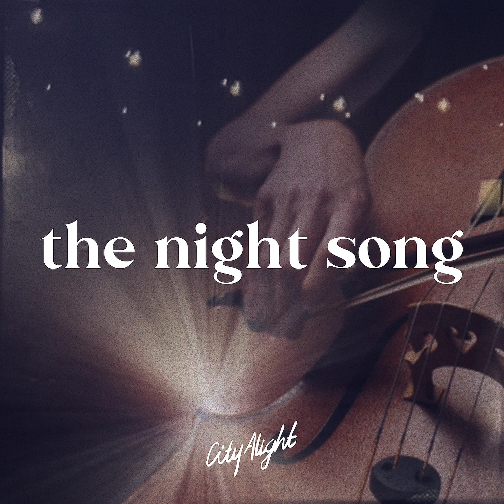 Постер альбома The Night Song